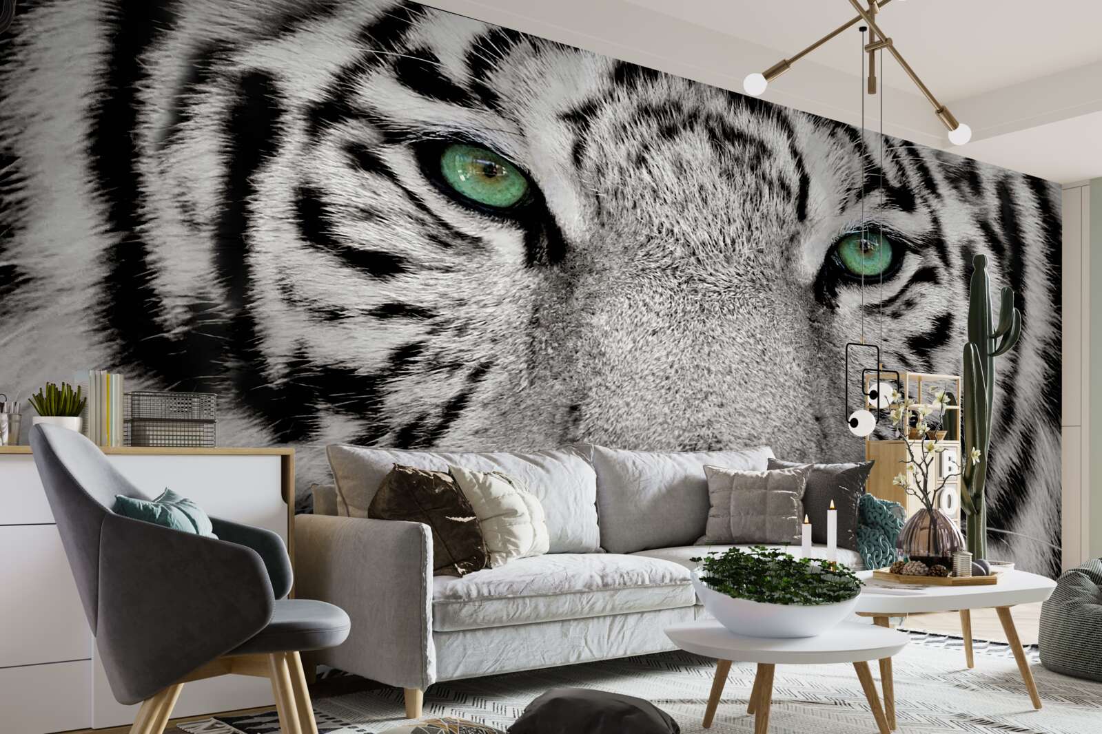 Фотошпалери білий тигр з близької відстані