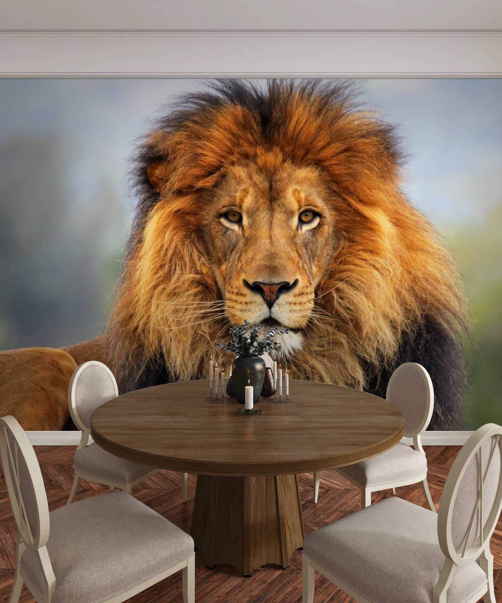 Фотошпалери зображення лева