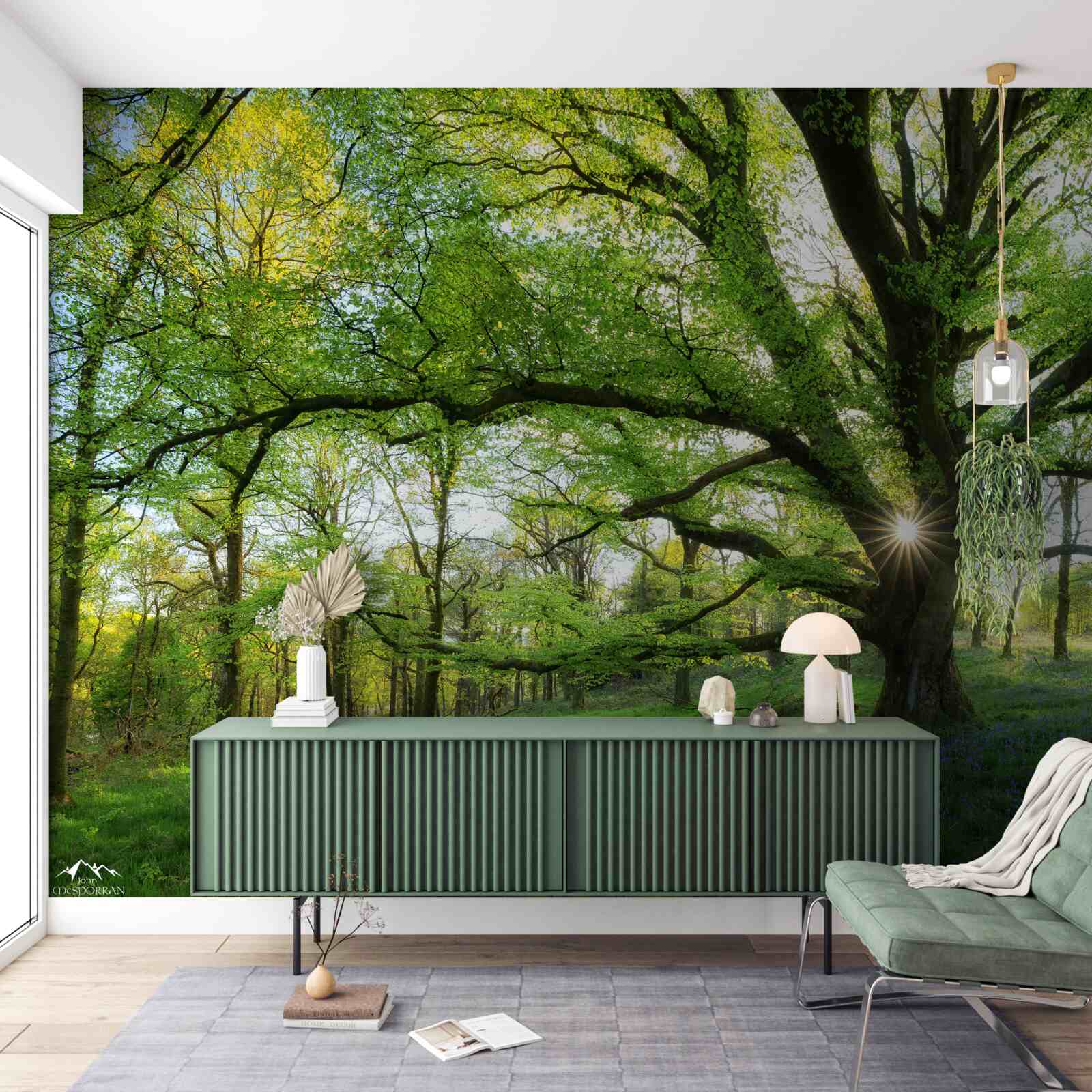 Фотошпалери красивий зелений ліс