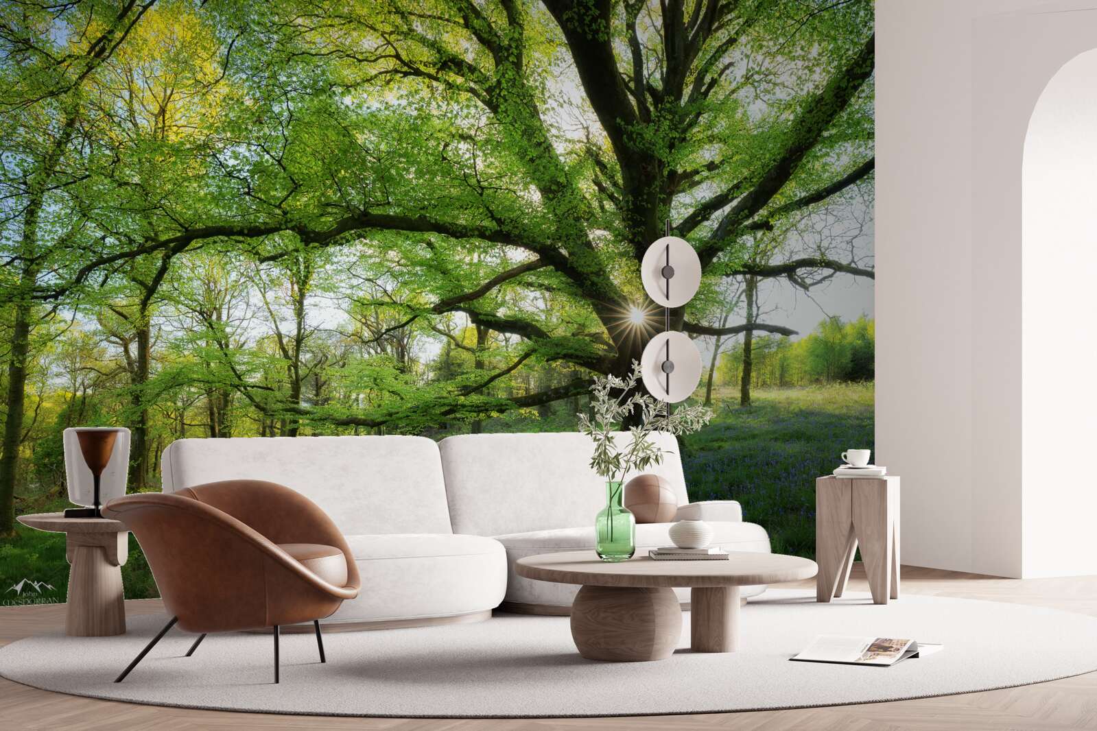 Фотошпалери красивий зелений ліс