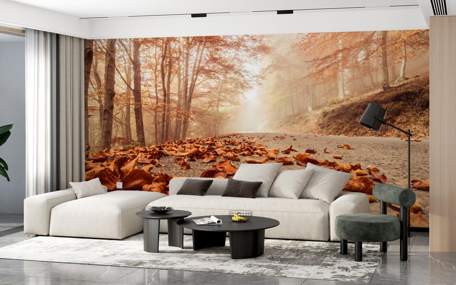 Фотошпалери листя лежить золотим килимом