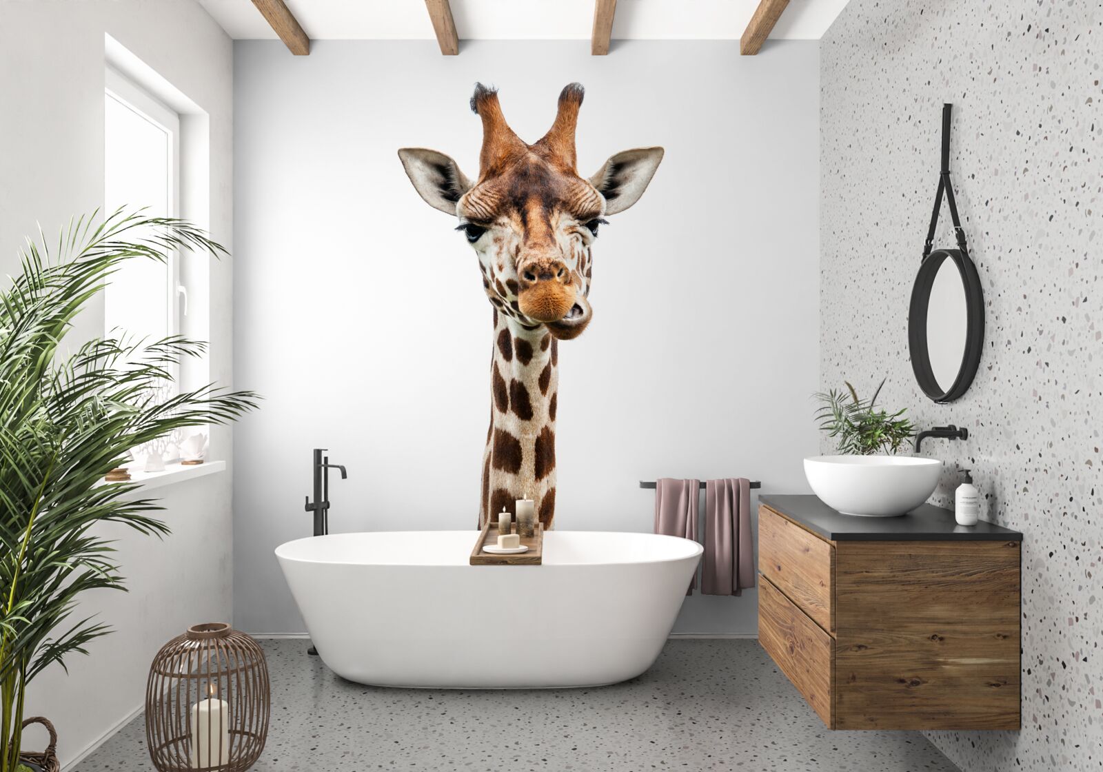 Фотошпалери незвичайний вираз обличчя жирафа