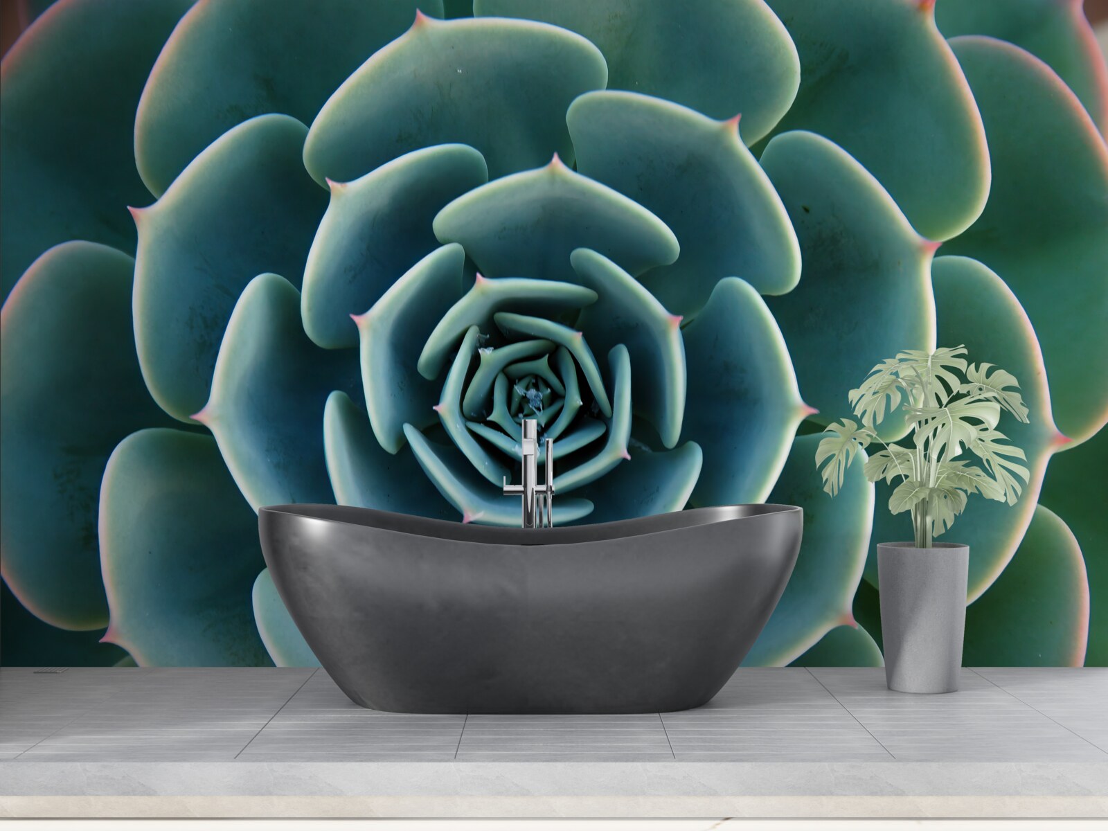 Фотошпалери зображення сукулента крупним планом