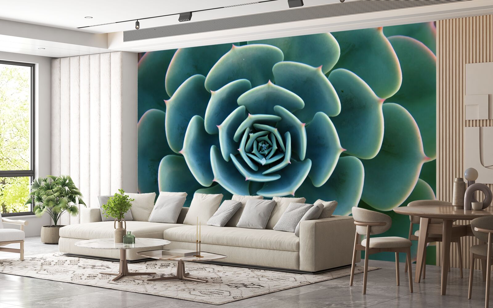 Фотошпалери зображення сукулента крупним планом