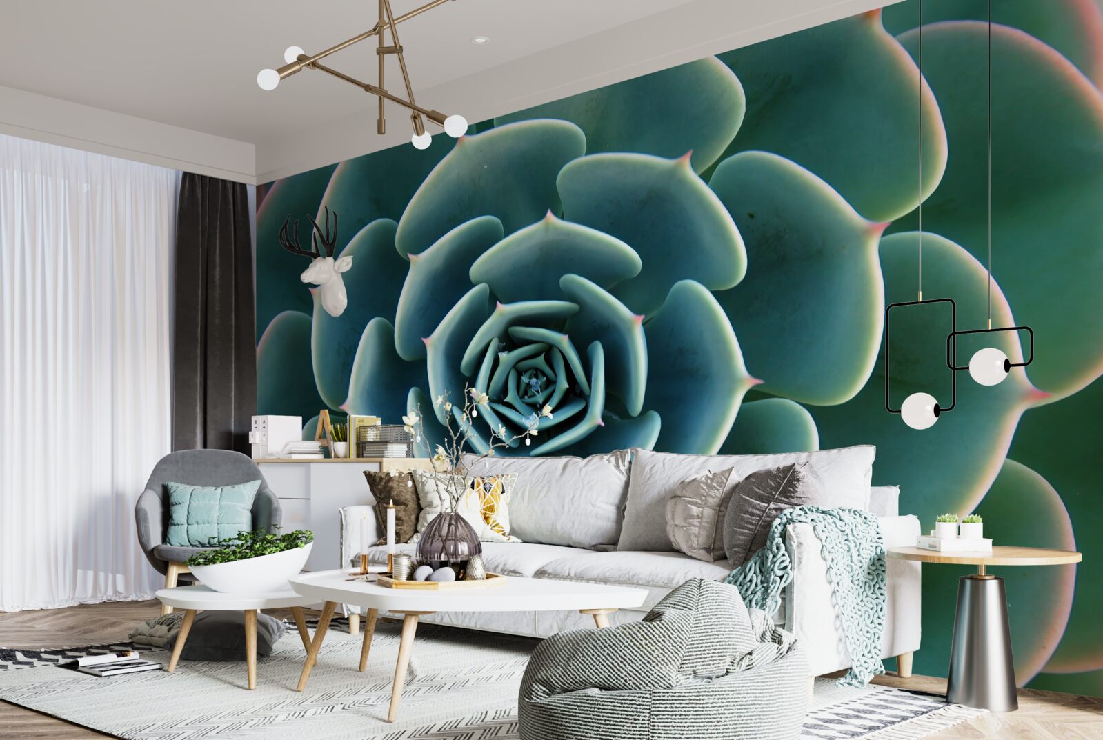 Фотошпалери зображення сукулента крупним планом