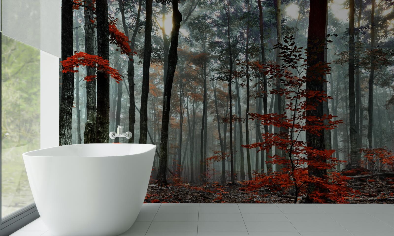 Фотошпалери ліс без листя восени