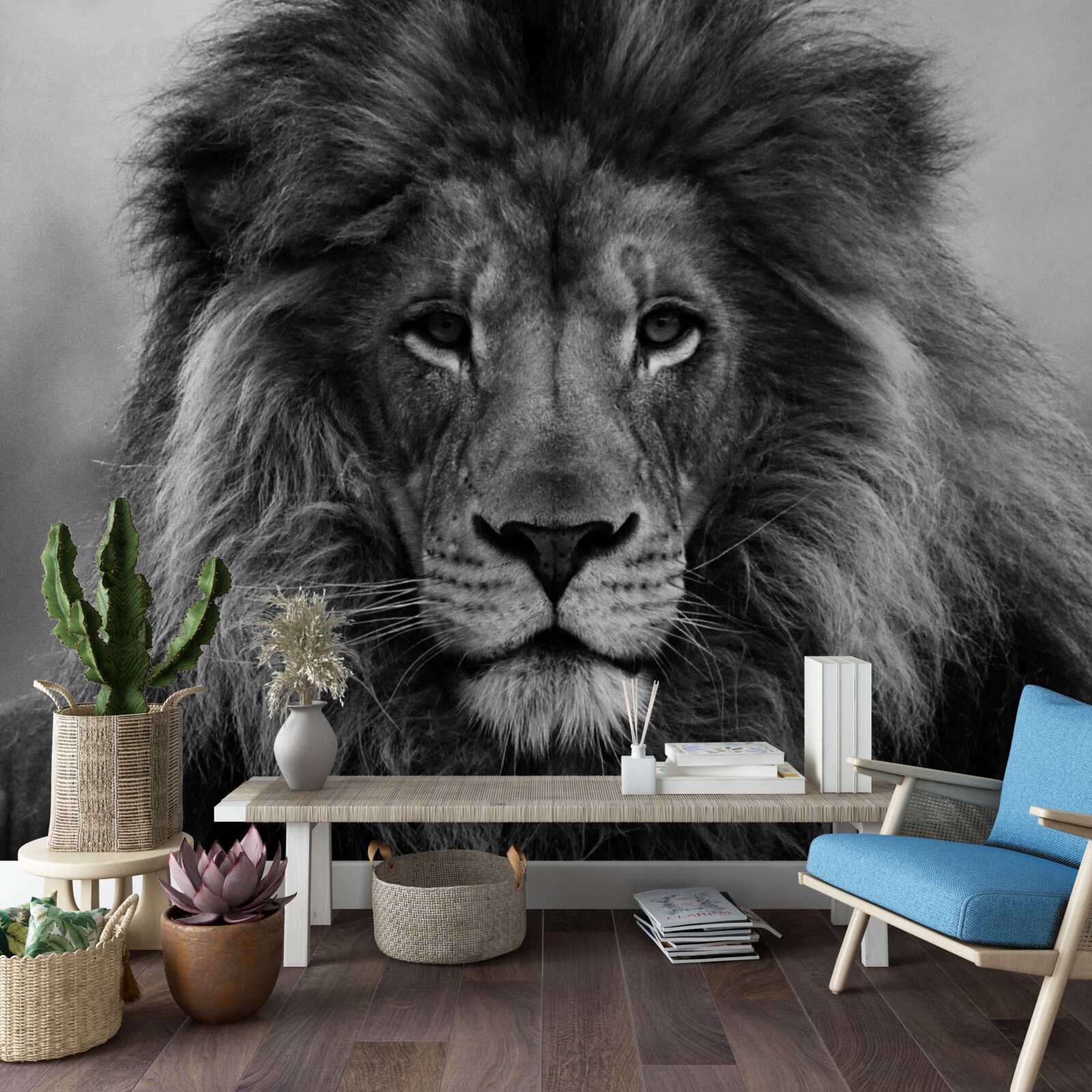 Фотошпалери образ зрілого лева