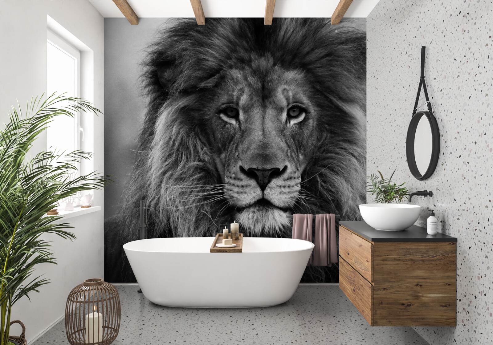 Фотошпалери образ зрілого лева