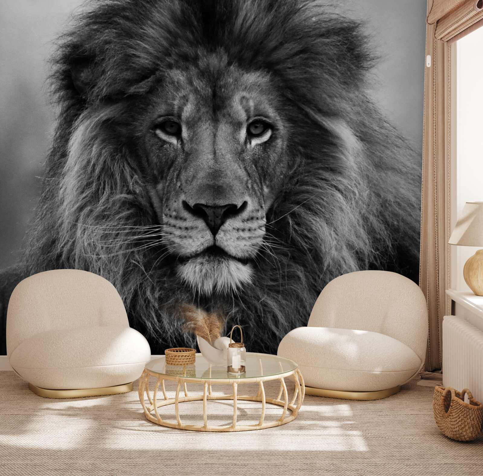 Фотошпалери образ зрілого лева