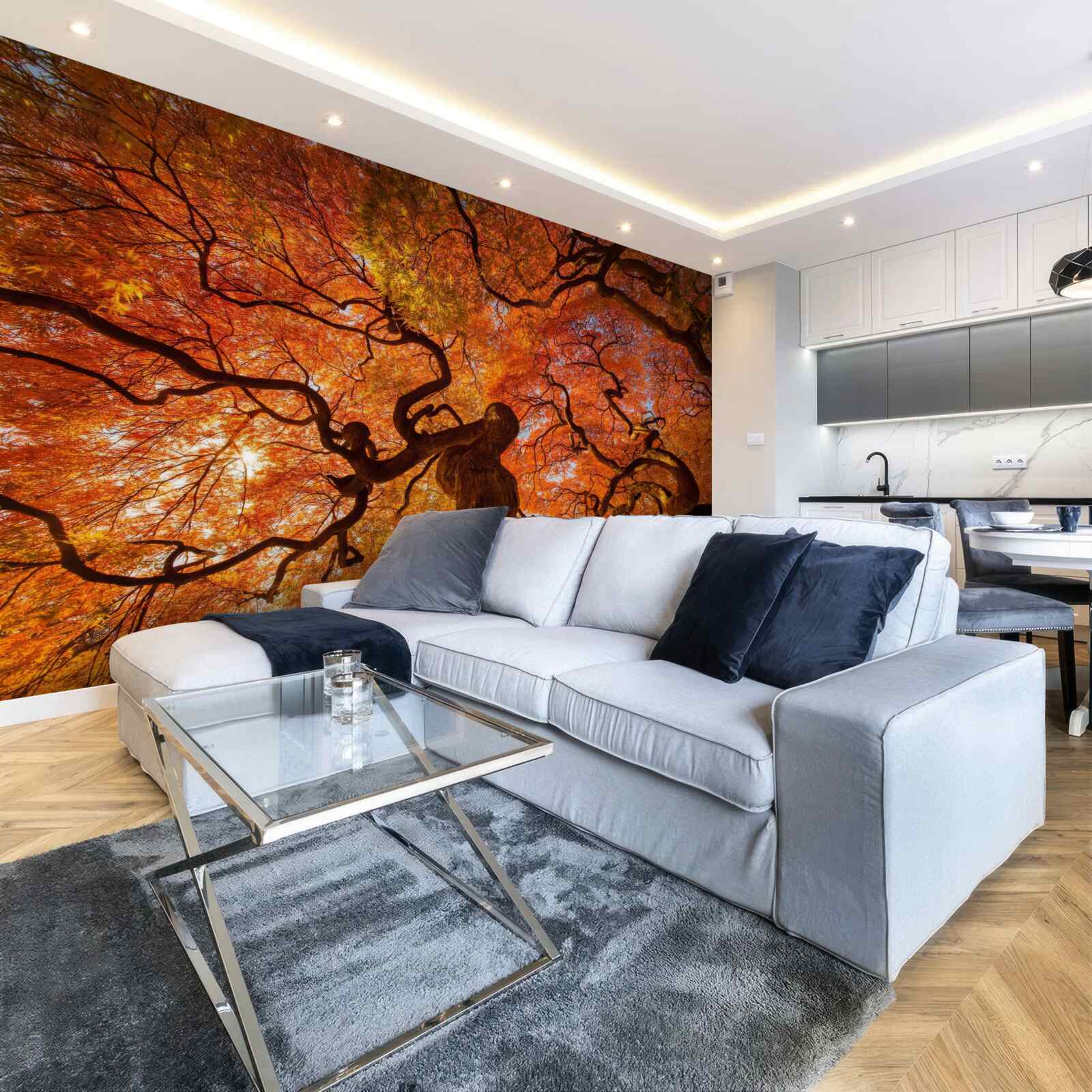 Фотошпалери Вигляд дерева знизу восени