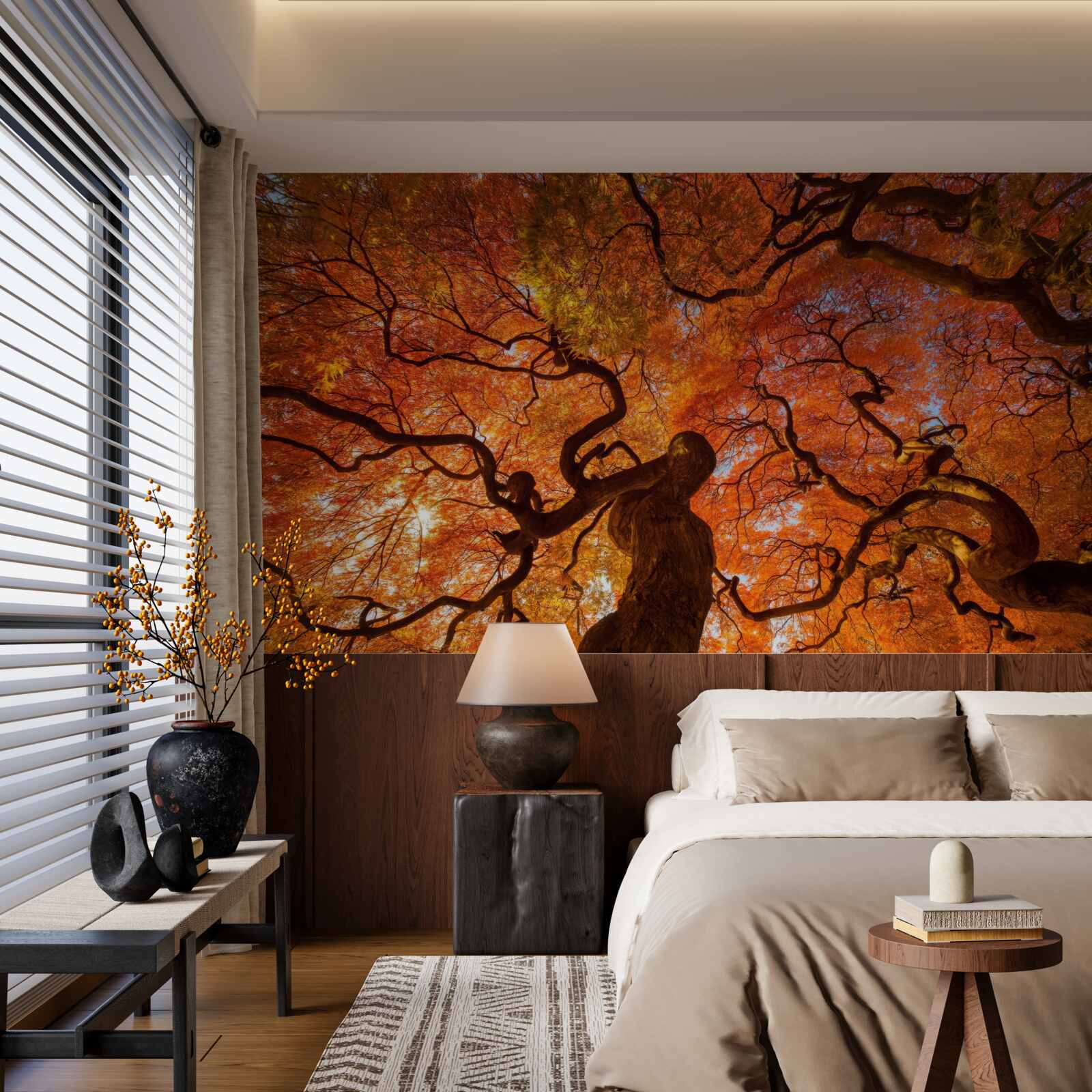 Фотошпалери Вигляд дерева знизу восени