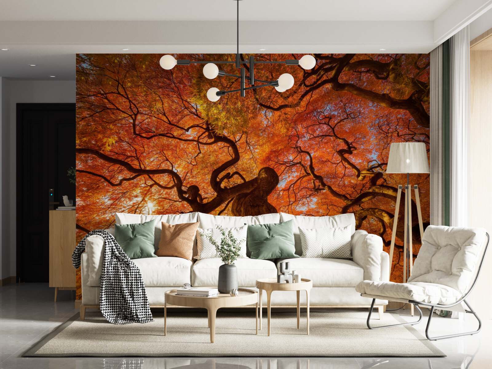 Фотошпалери Вигляд дерева знизу восени