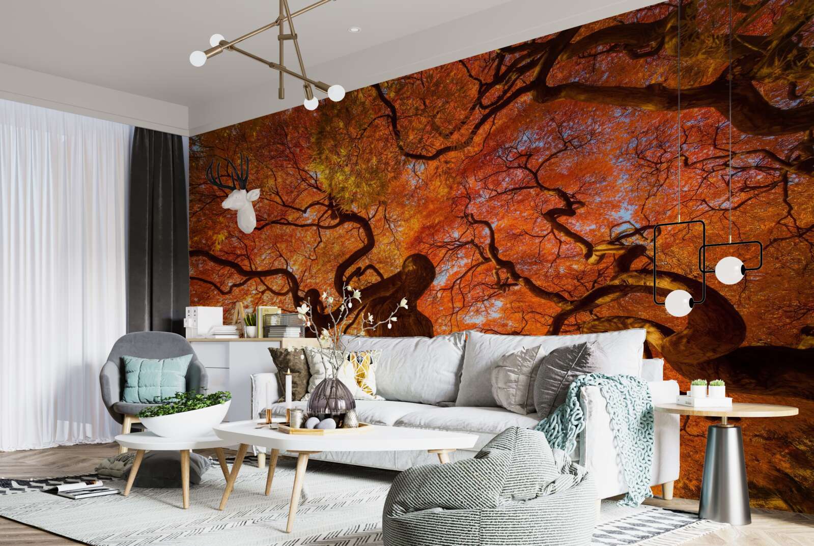 Фотошпалери Вигляд дерева знизу восени