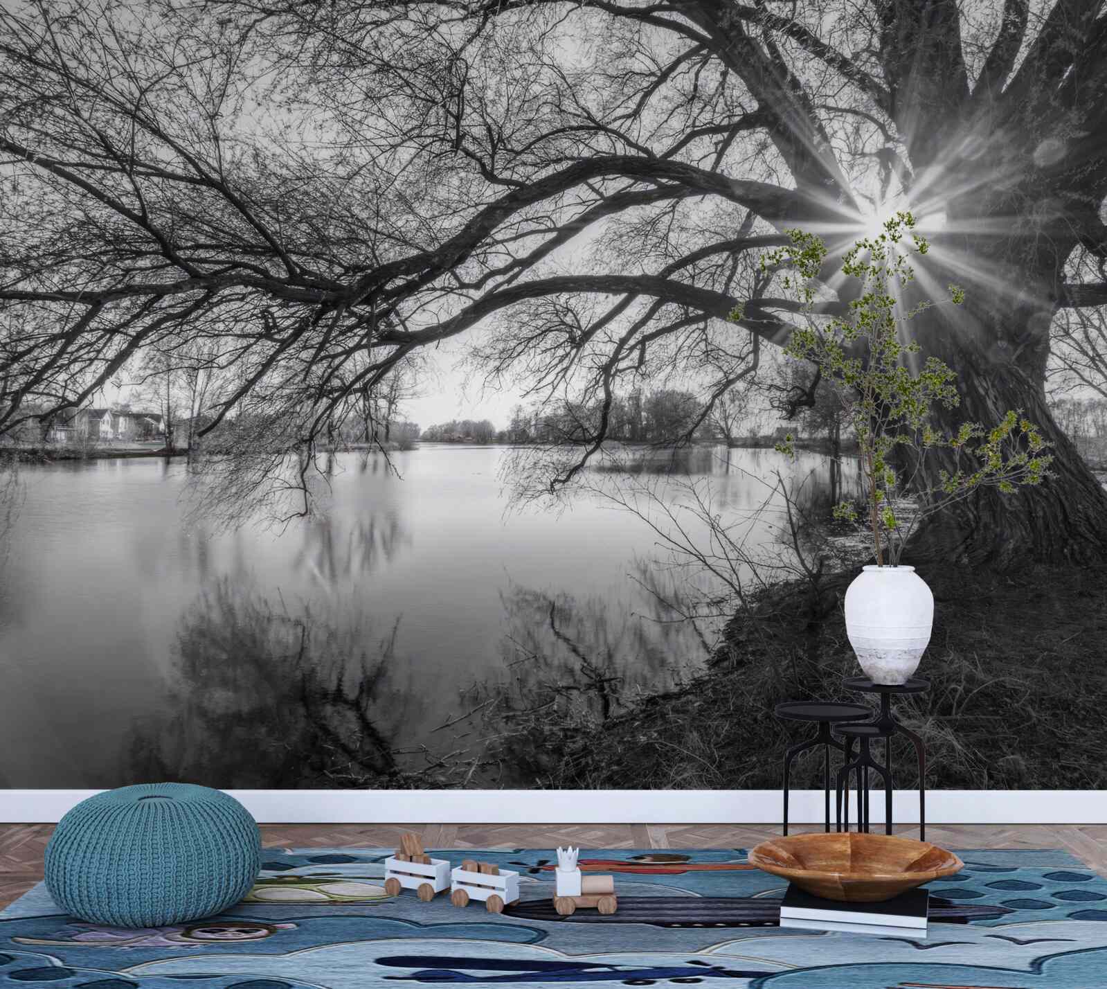 Фотошпалери промінь сонячного світла пробивається крізь гілки дерева біля води