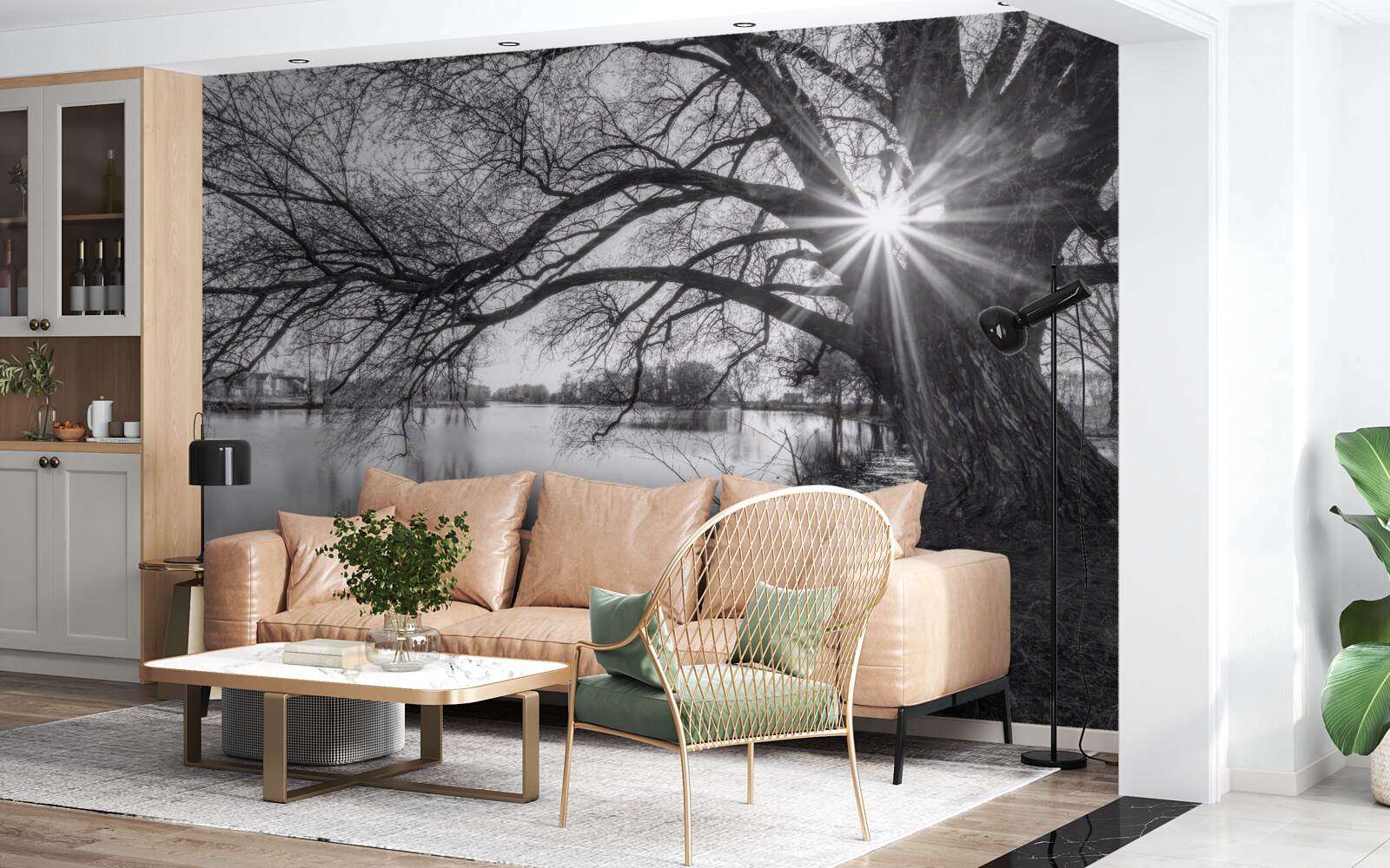 Фотошпалери промінь сонячного світла пробивається крізь гілки дерева біля води