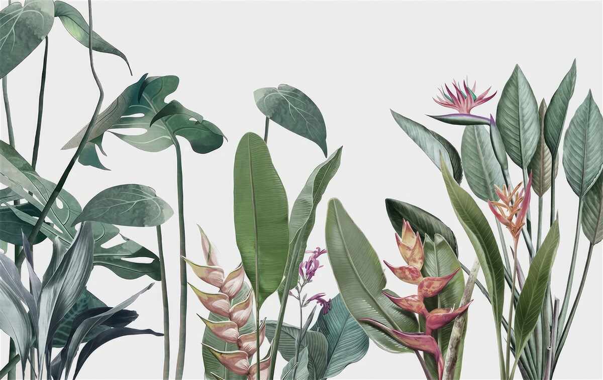 Фотошпалери листя різних тропічних рослин