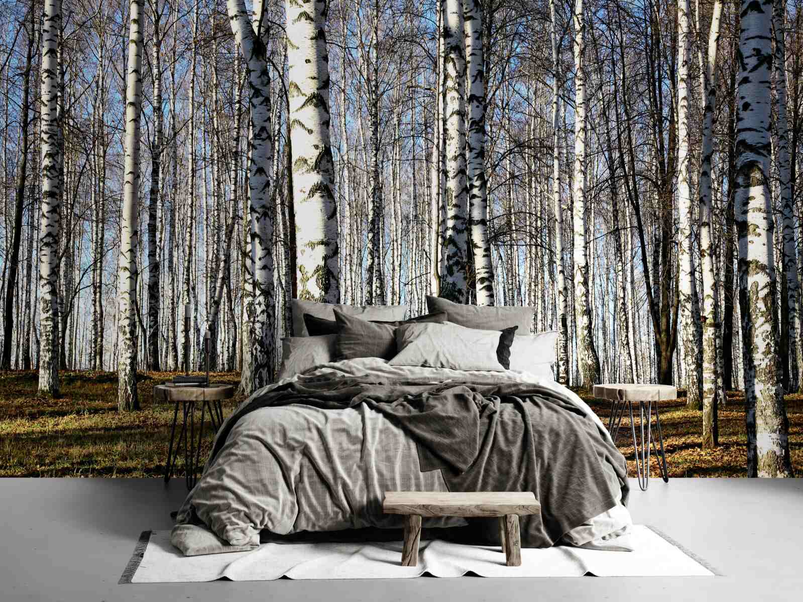 Фотошпалери листя опало з дерев