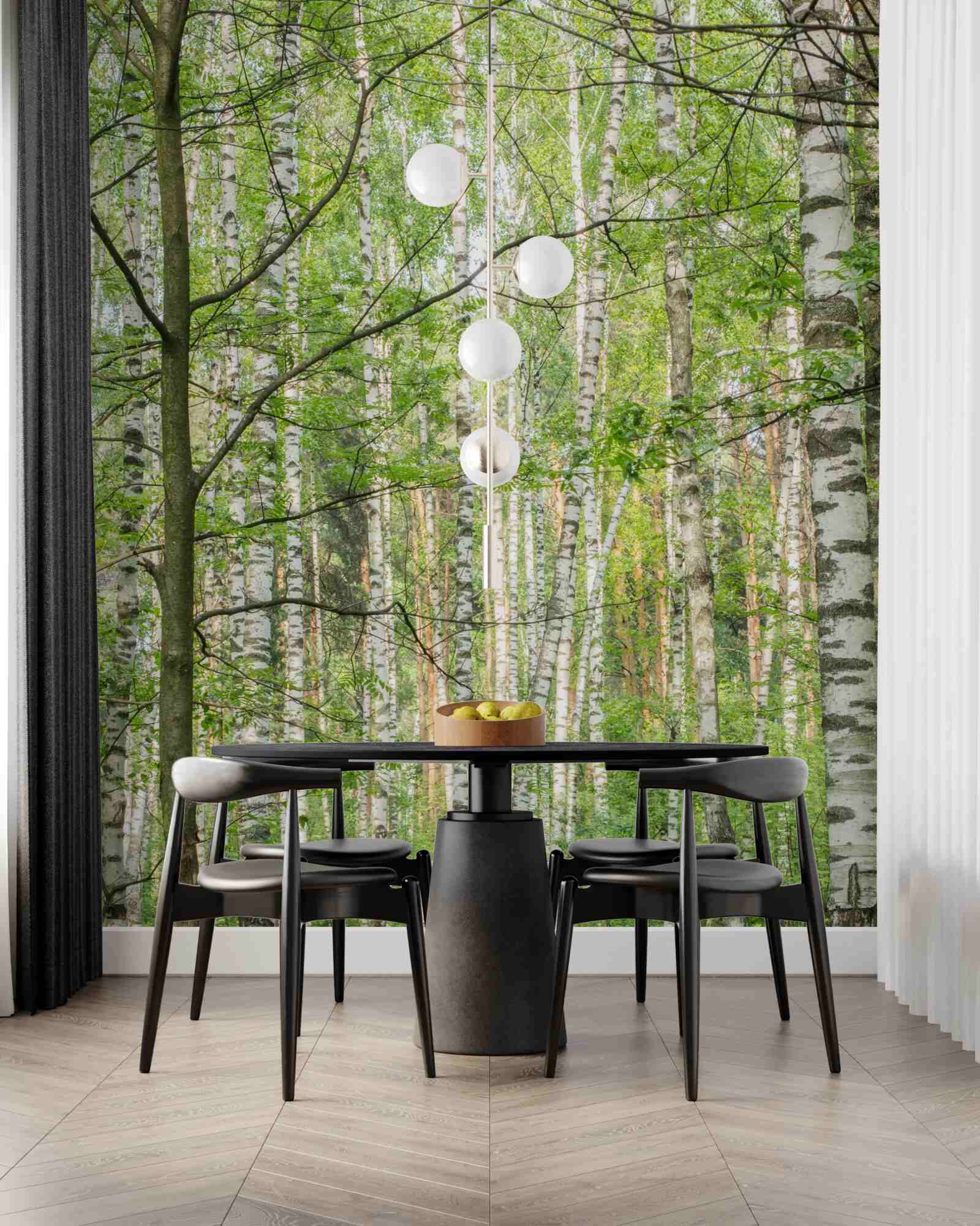 Фотошпалери ліс, густо вкритий березами