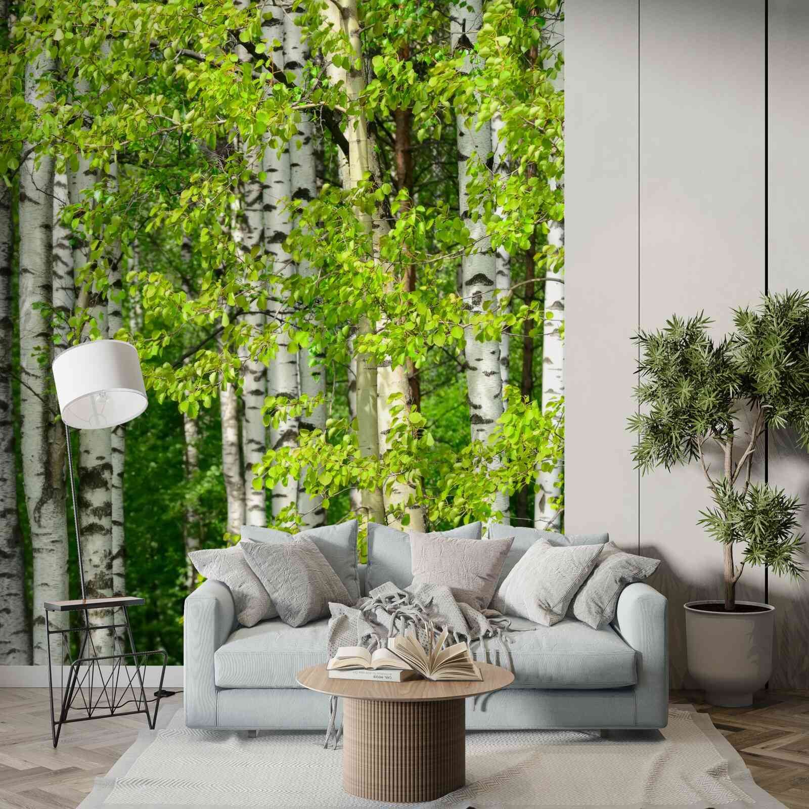 Фотошпалери березовий ліс