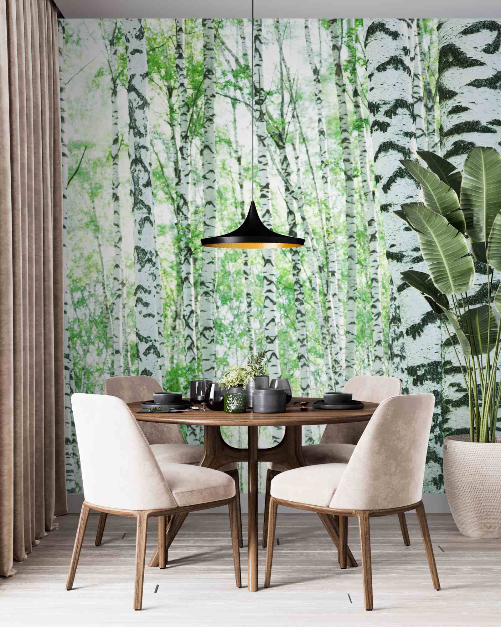 Фотошпалери світлі берези