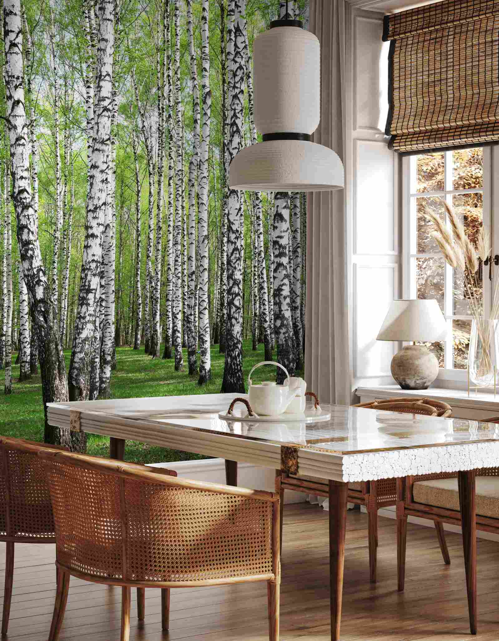 Фотошпалери прекрасний березовий ліс