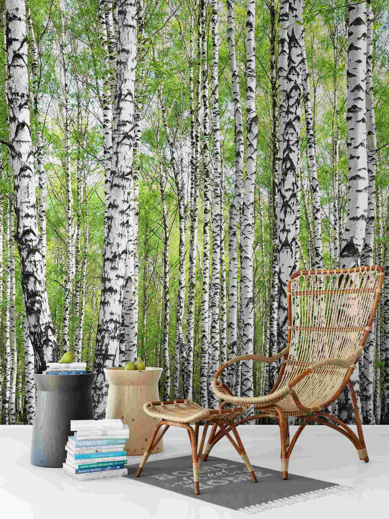 Фотошпалери прекрасний березовий ліс