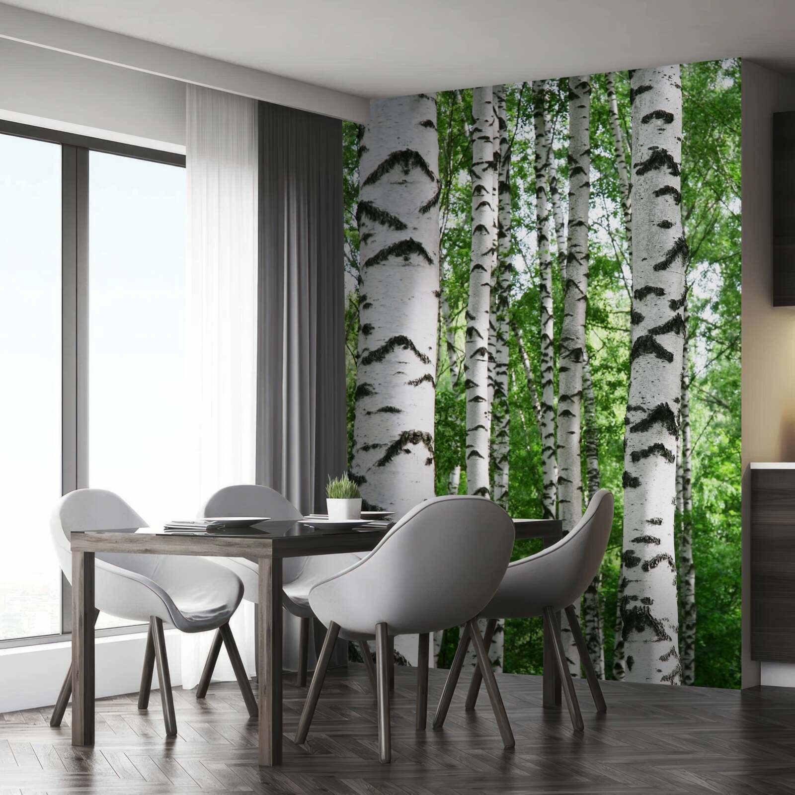 Фотошпалери ряди струнких беріз