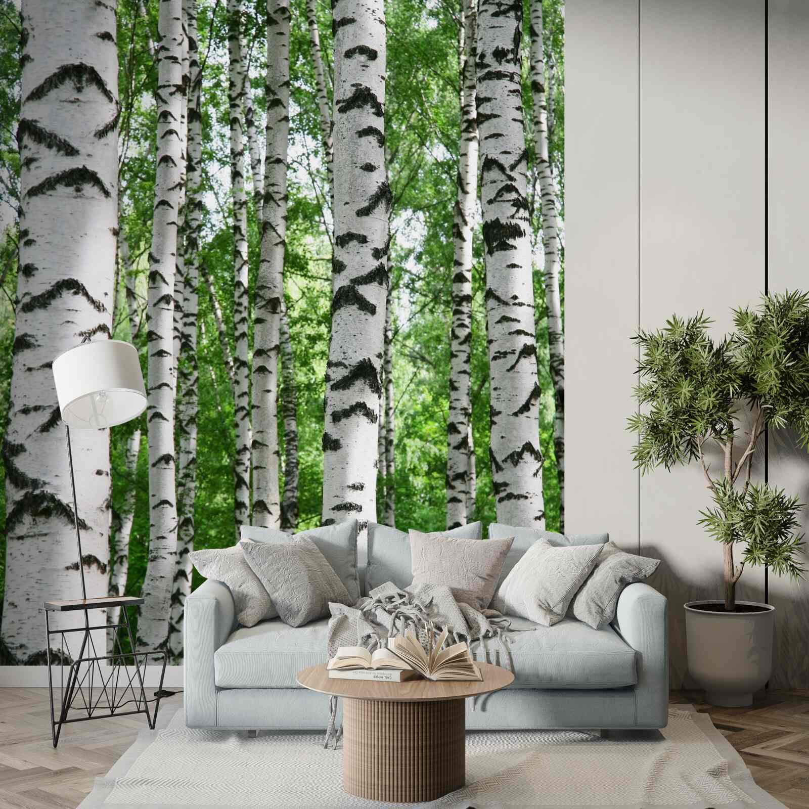 Фотошпалери ряди струнких беріз