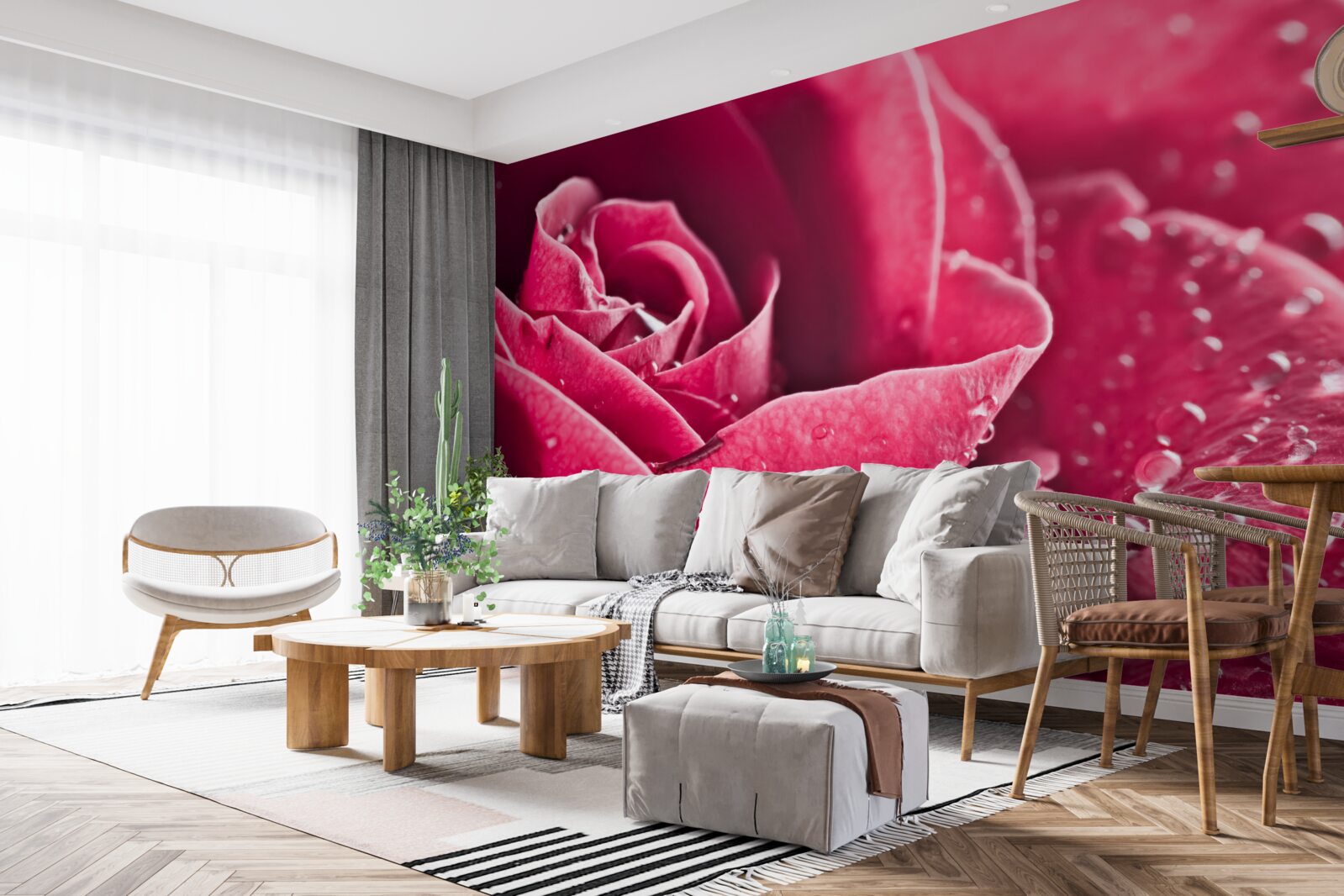 Фотошпалери велика троянда з краплями вологи