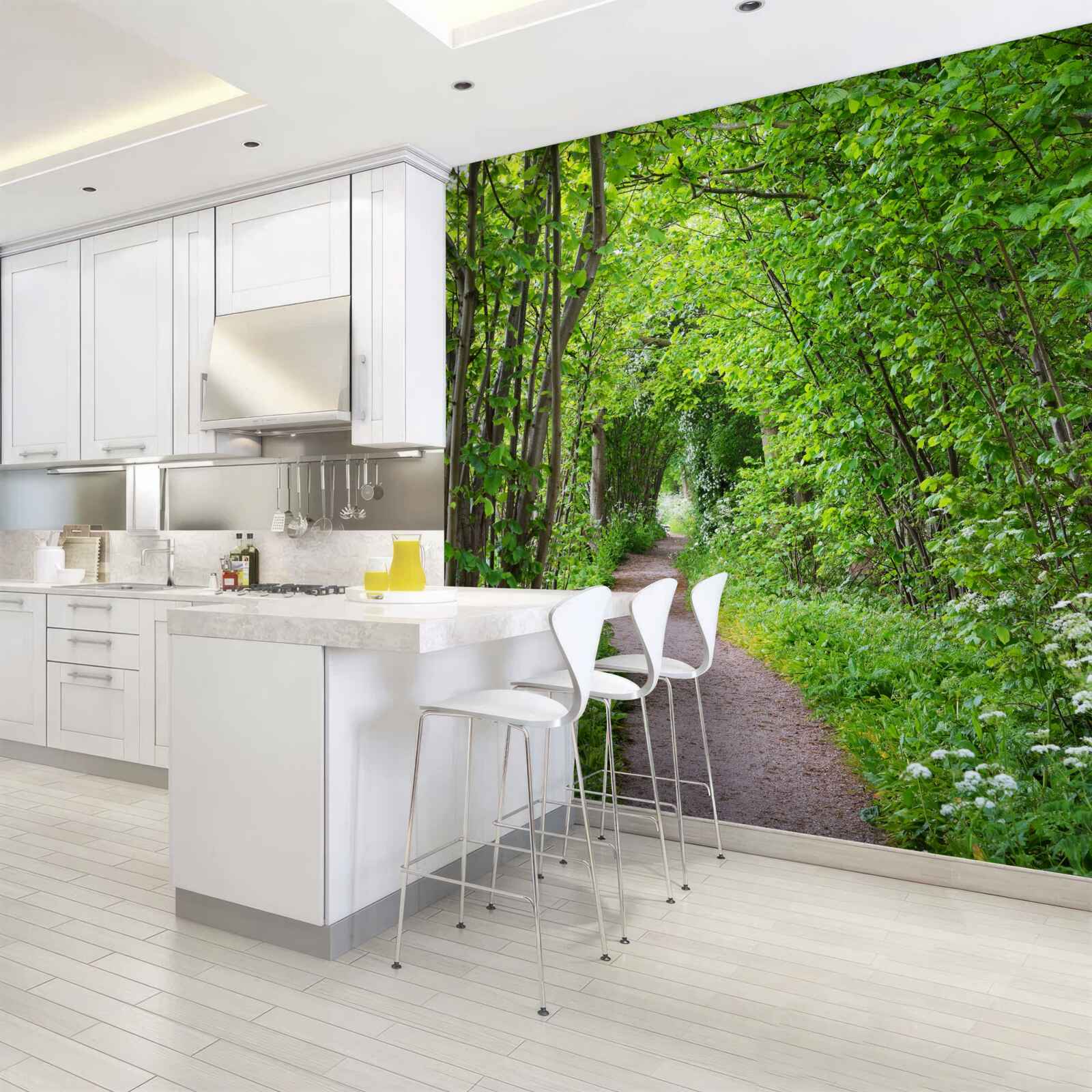 Фотошпалери стежка через густий смарагдовий ліс