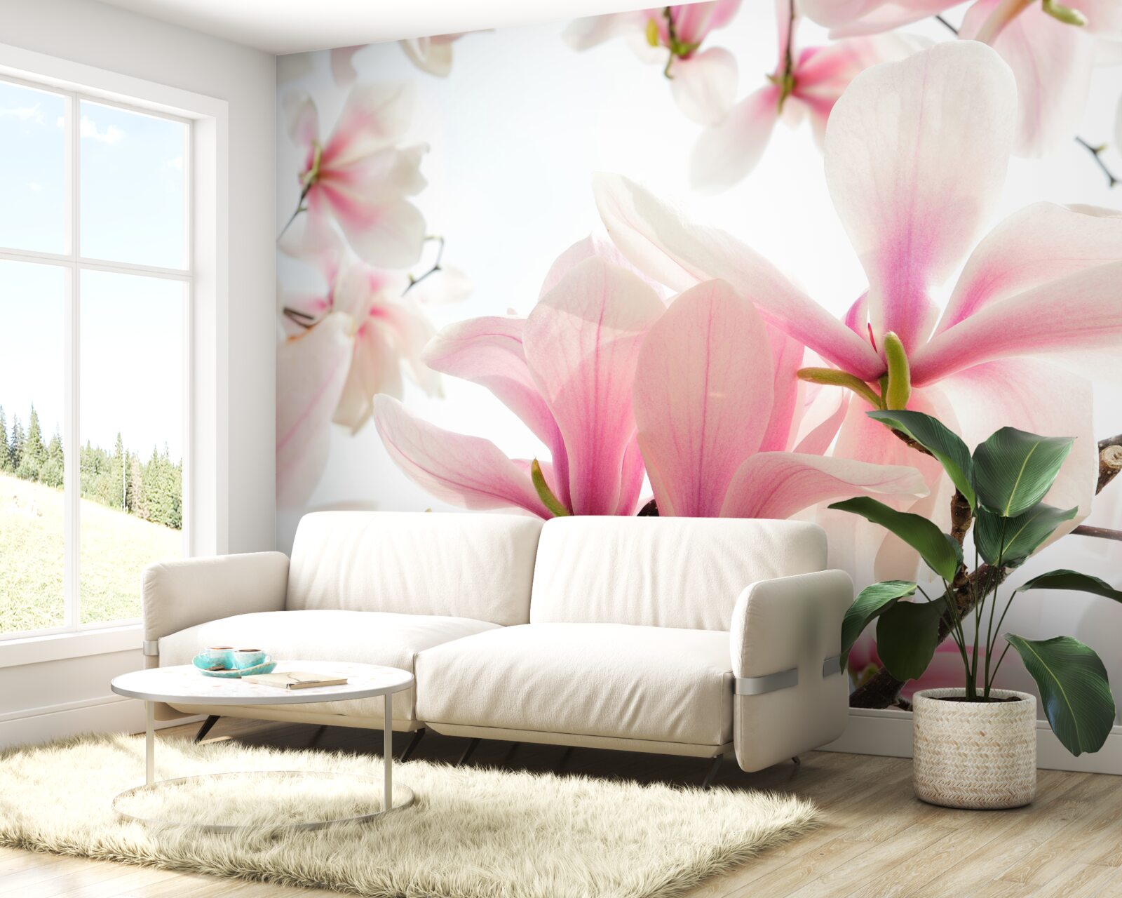 Фотошпалери магнолії в цвіту