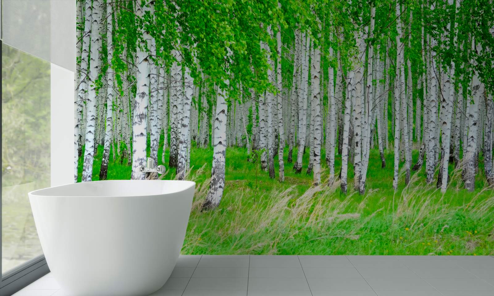 Фотошпалери поле з березами на задньому плані