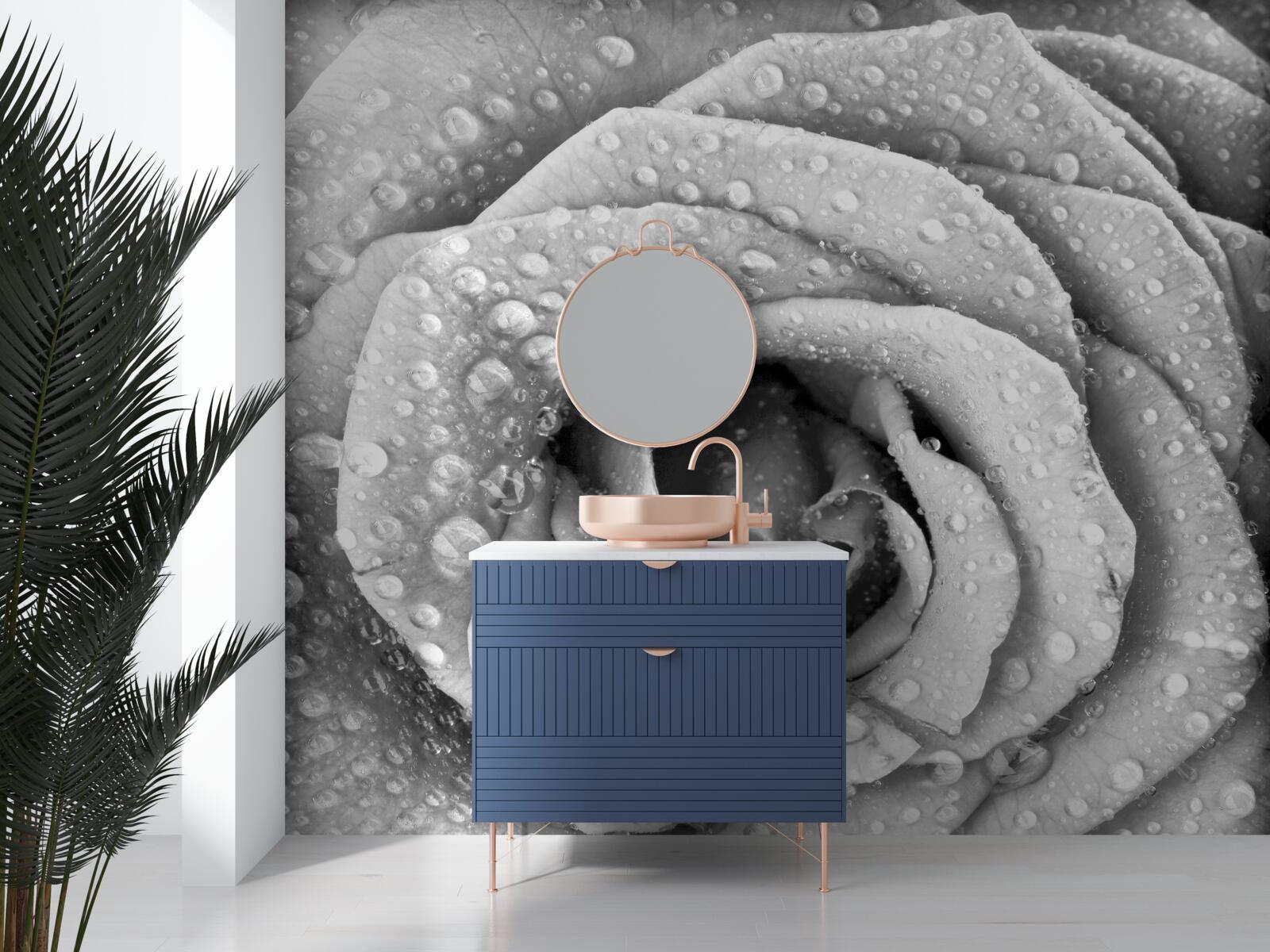 Фотошпалери троянда чорно-біла з краплями