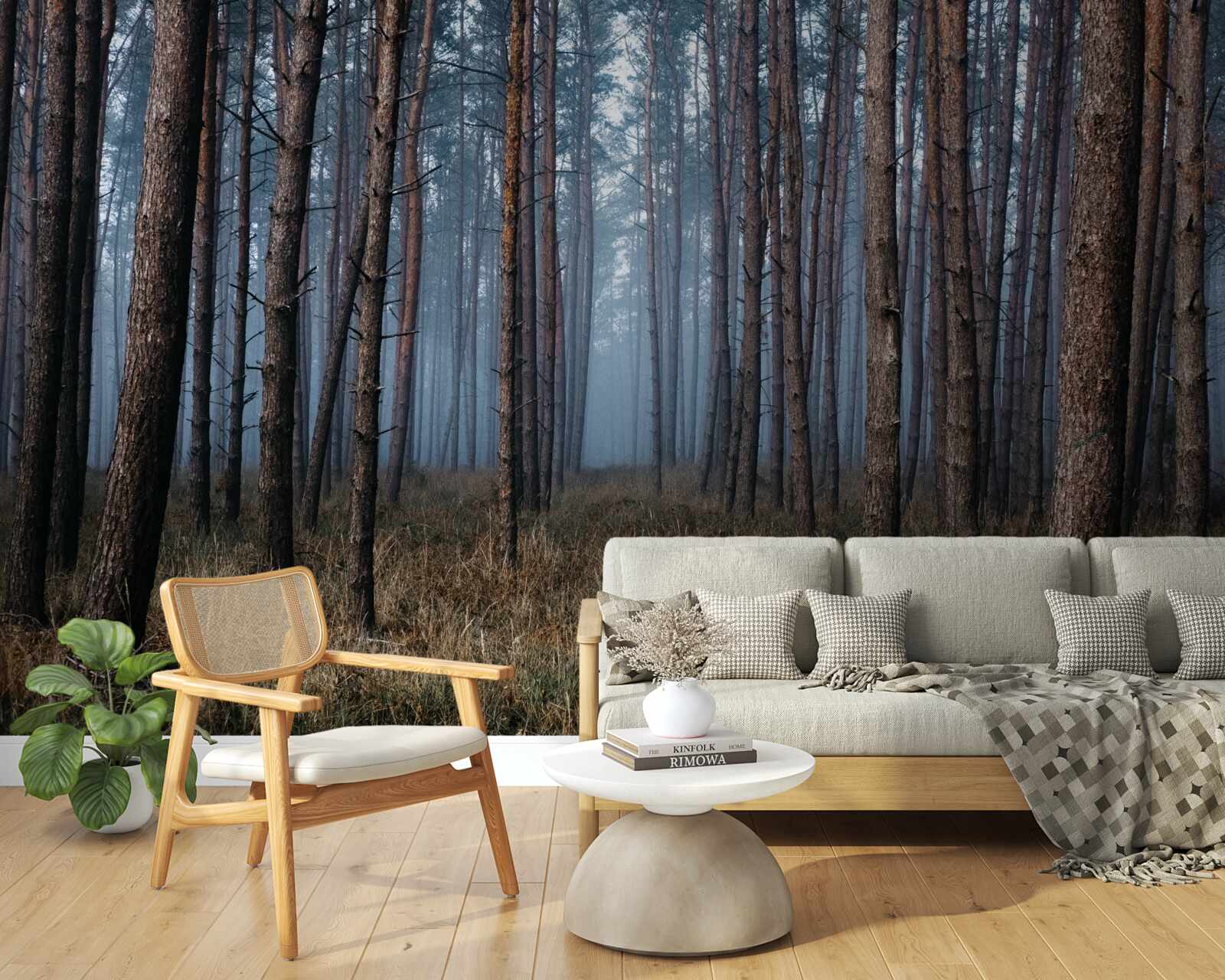 Фотошпалери темний сосновий ліс