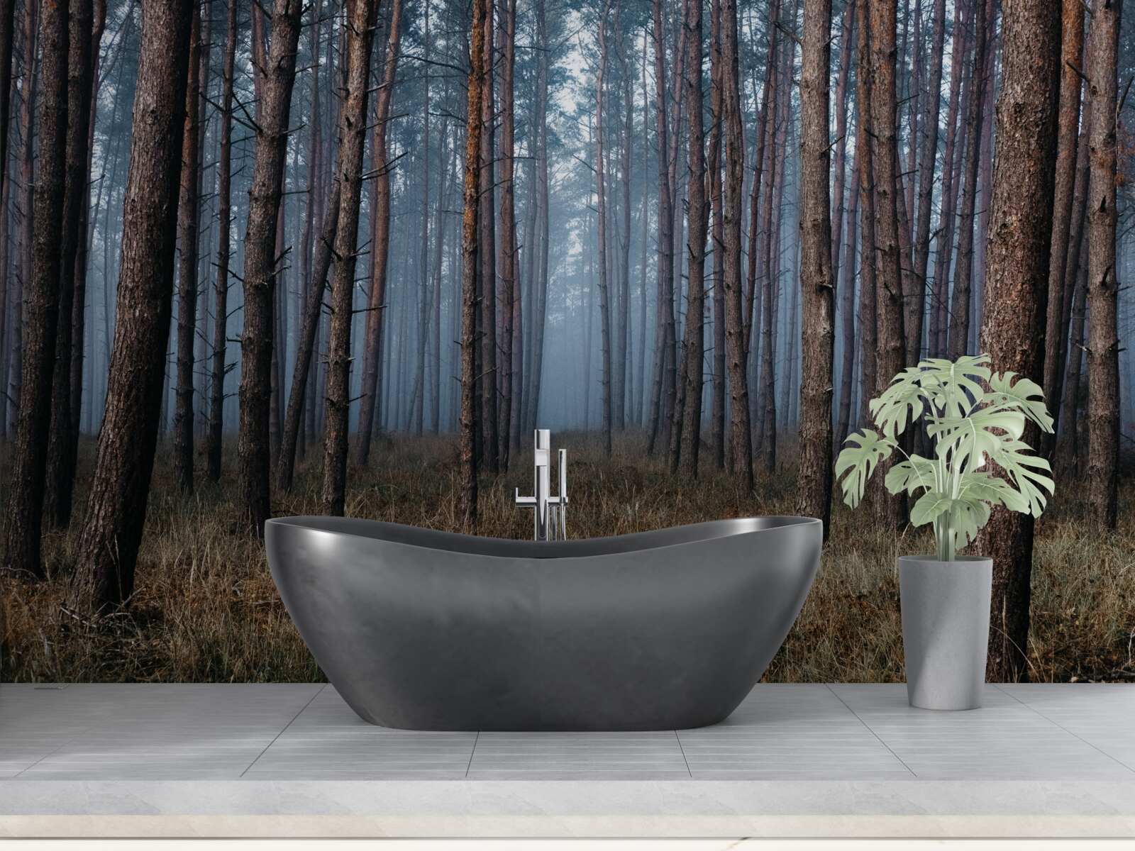 Фотошпалери темний сосновий ліс