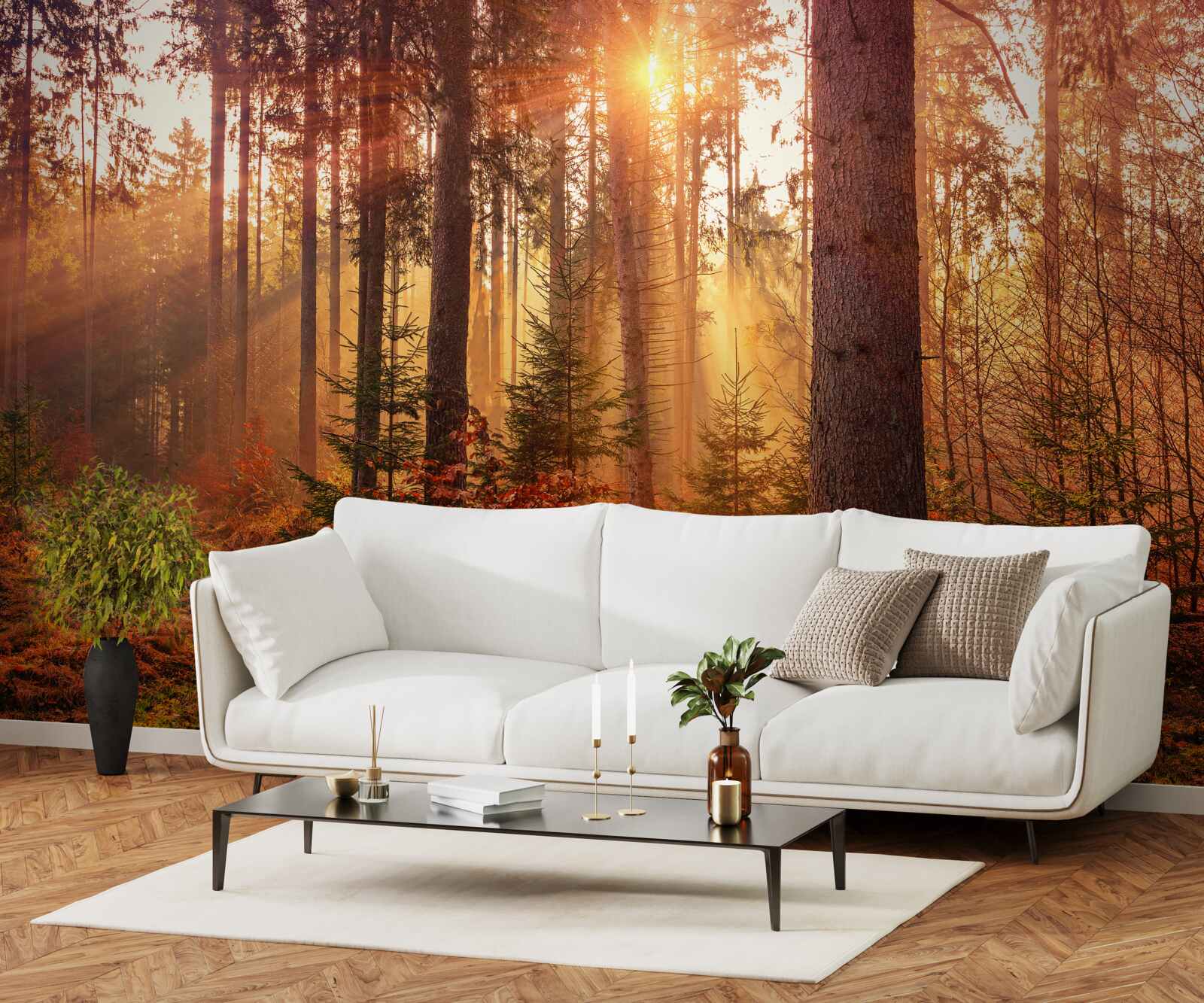 Фотошпалери ліс восени, освітлений сонячними променями