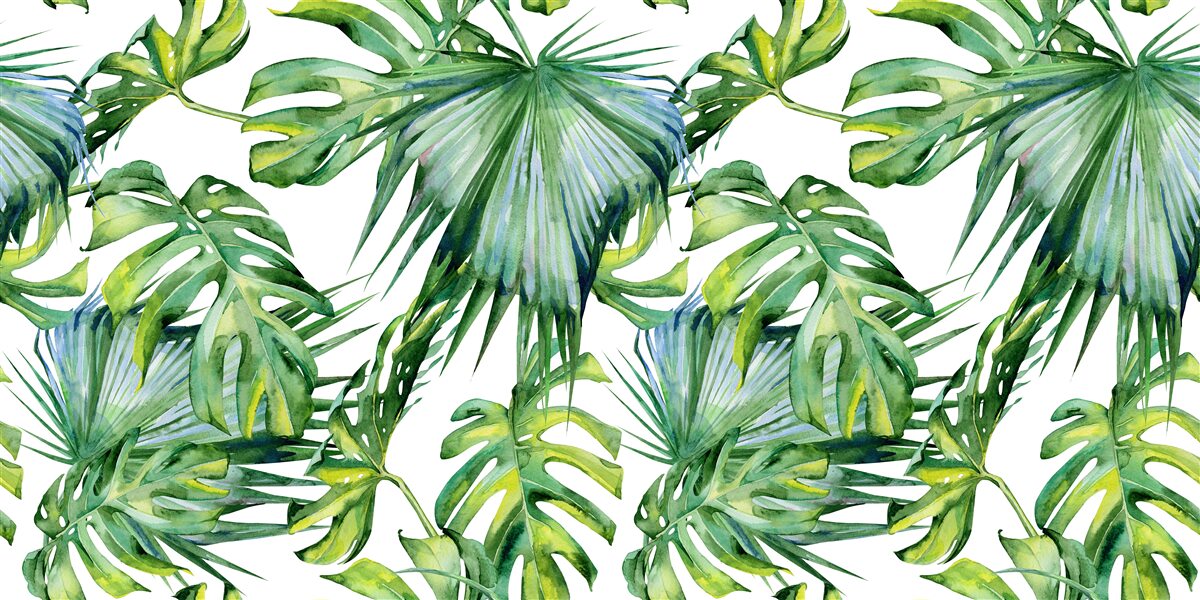 Фотошпалери велика різноманітність зелених рослин