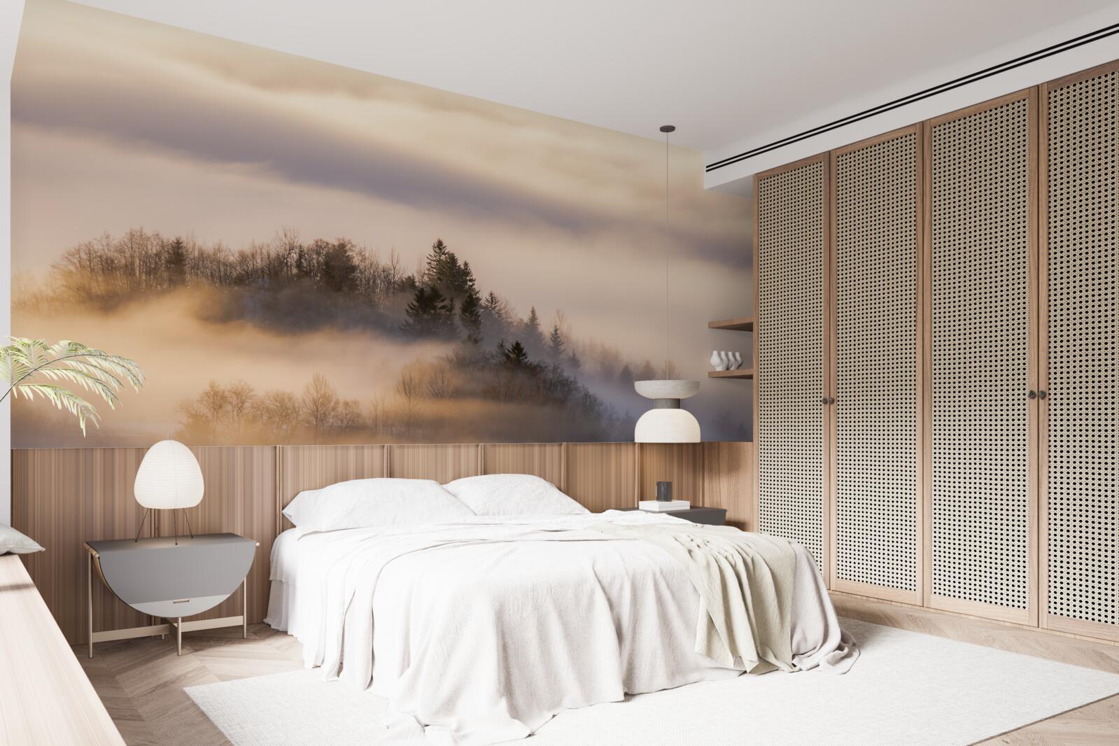 Фотошпалери густий туман серед дерев