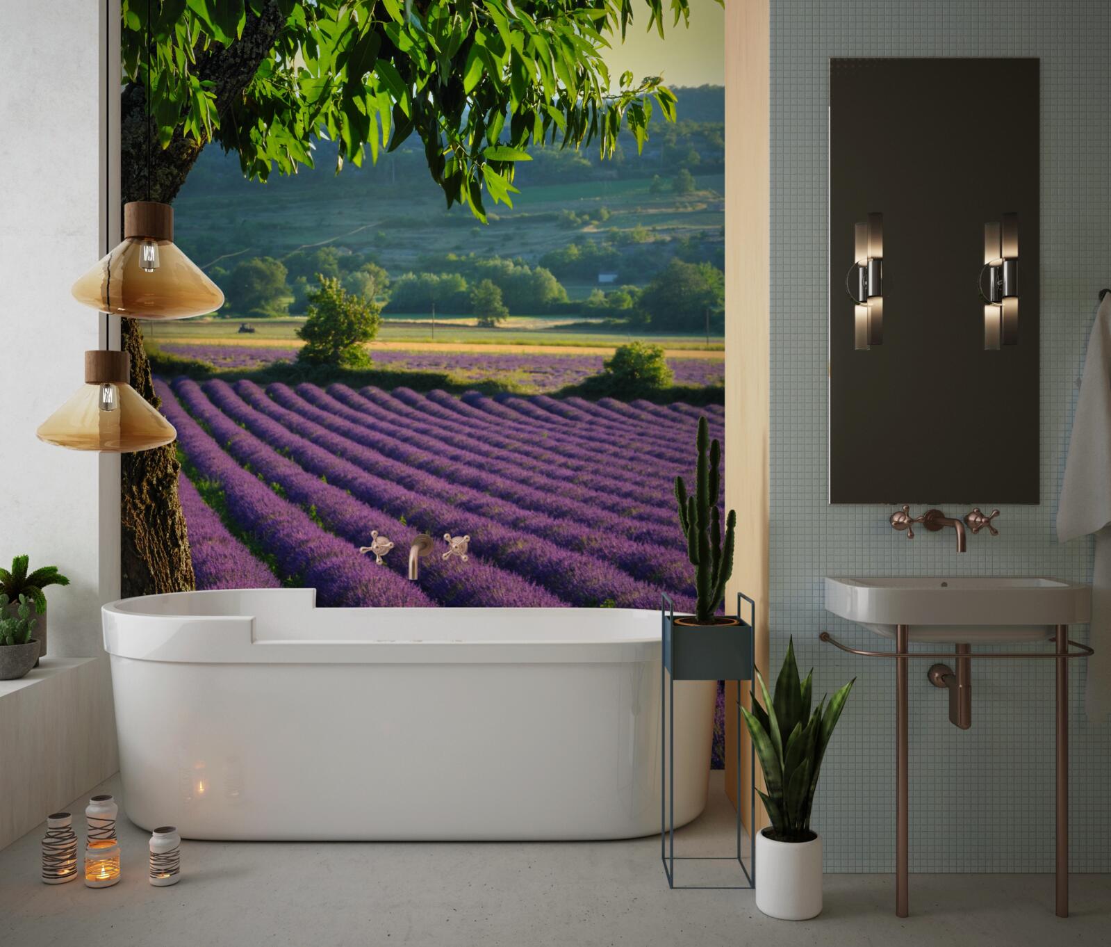 Фотошпалери поле, що пахне лавандою