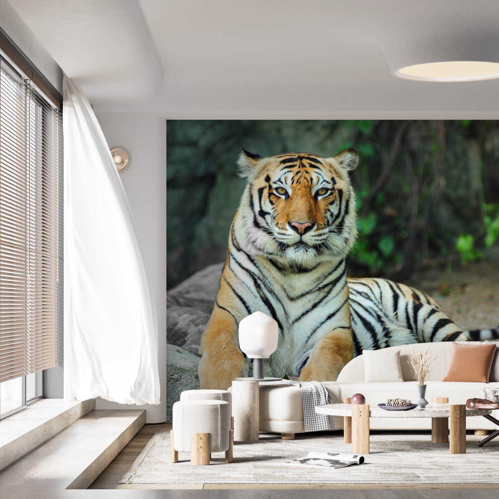 Фотошпалери красивий тигр на відпочинку