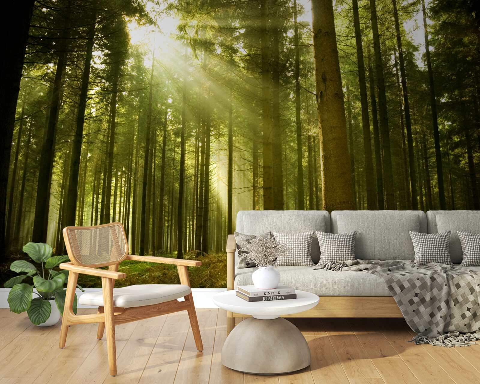 Фотошпалери сонячні промені освітлюють ліс