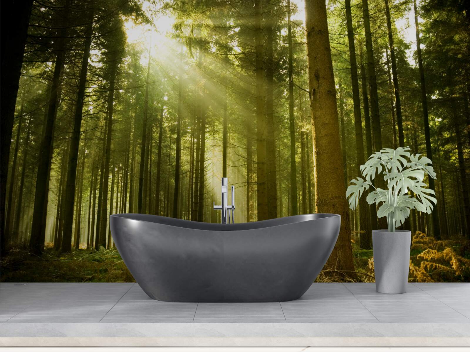 Фотошпалери сонячні промені освітлюють ліс