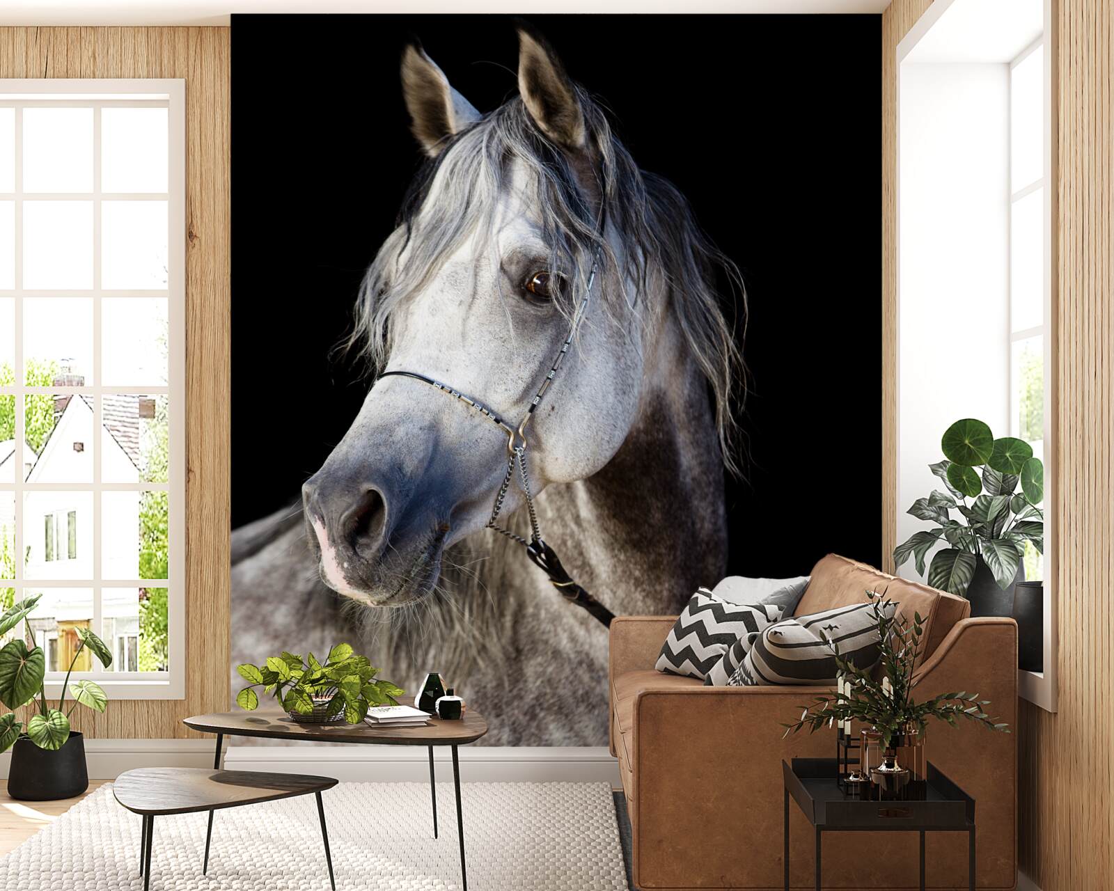 Фотошпалери елегантний силует коня на темному тлі