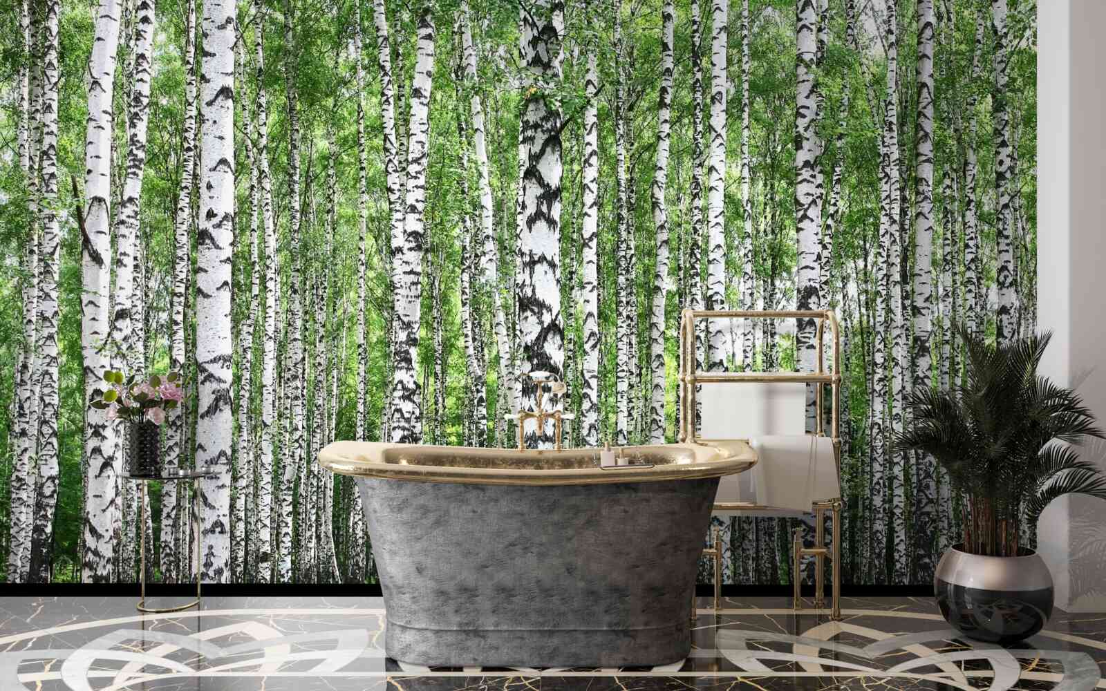 Фотошпалери великий березовий гай