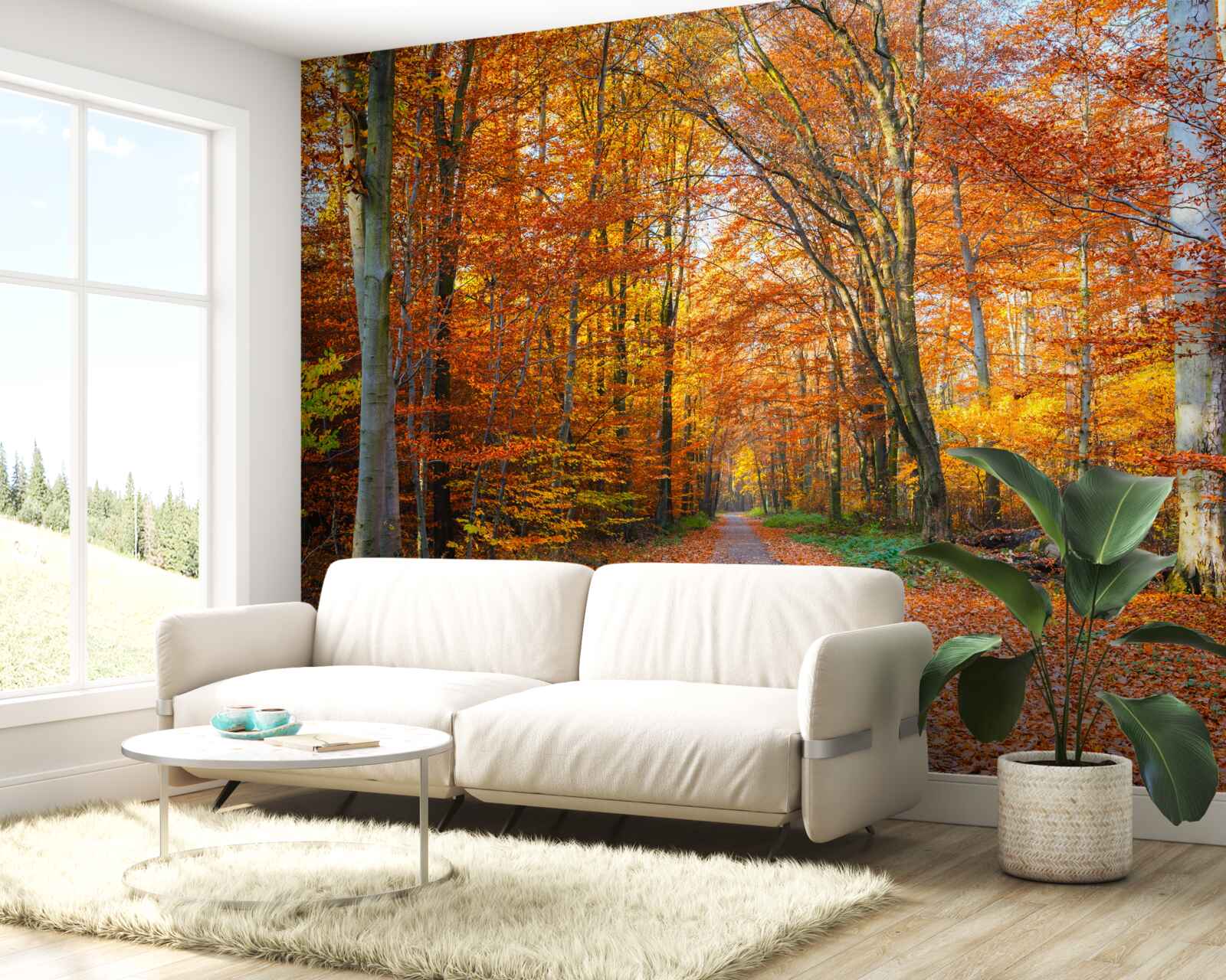 Фотошпалери дерева з опалим листям восени