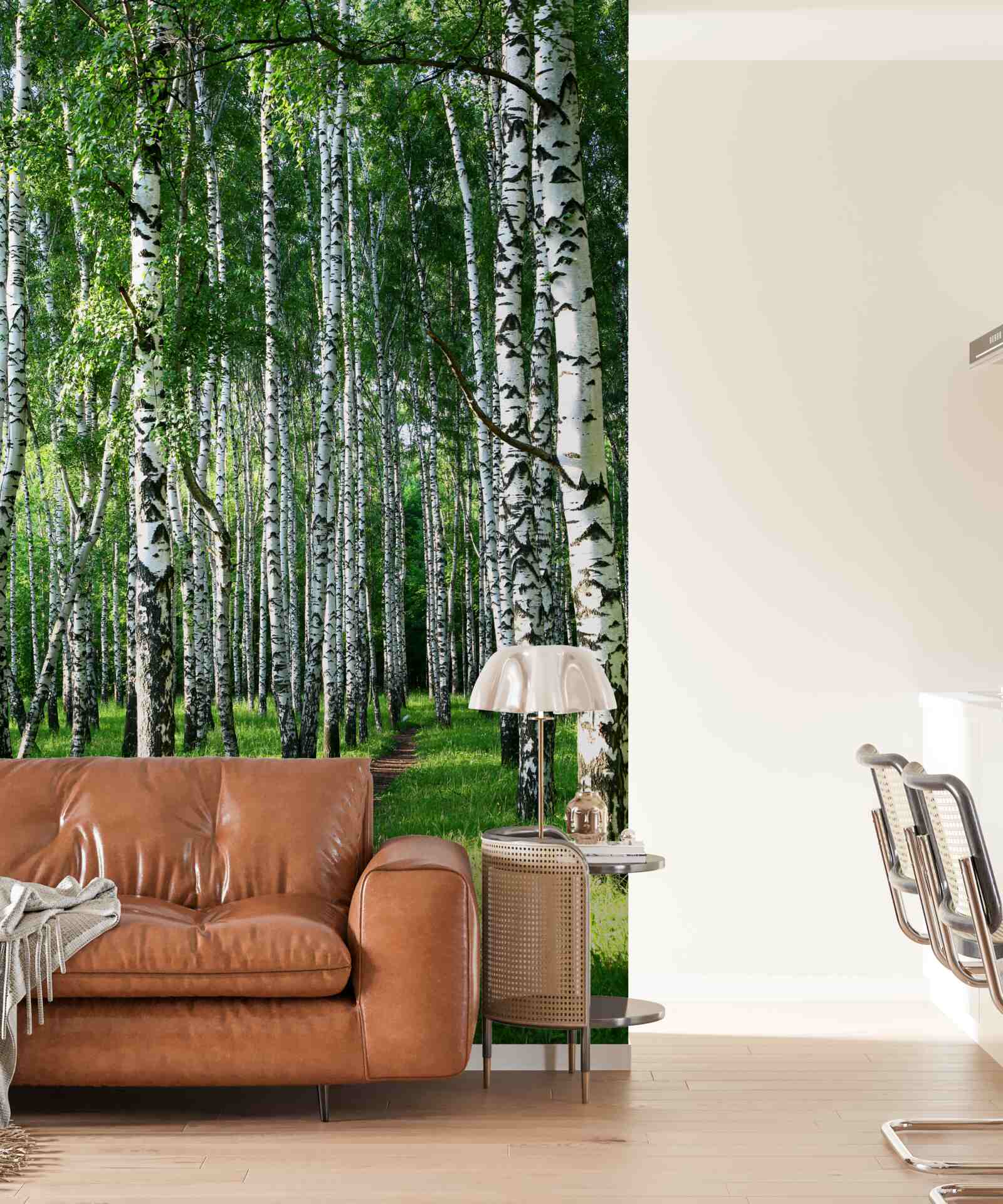 Фотошпалери стежка через березовий гай