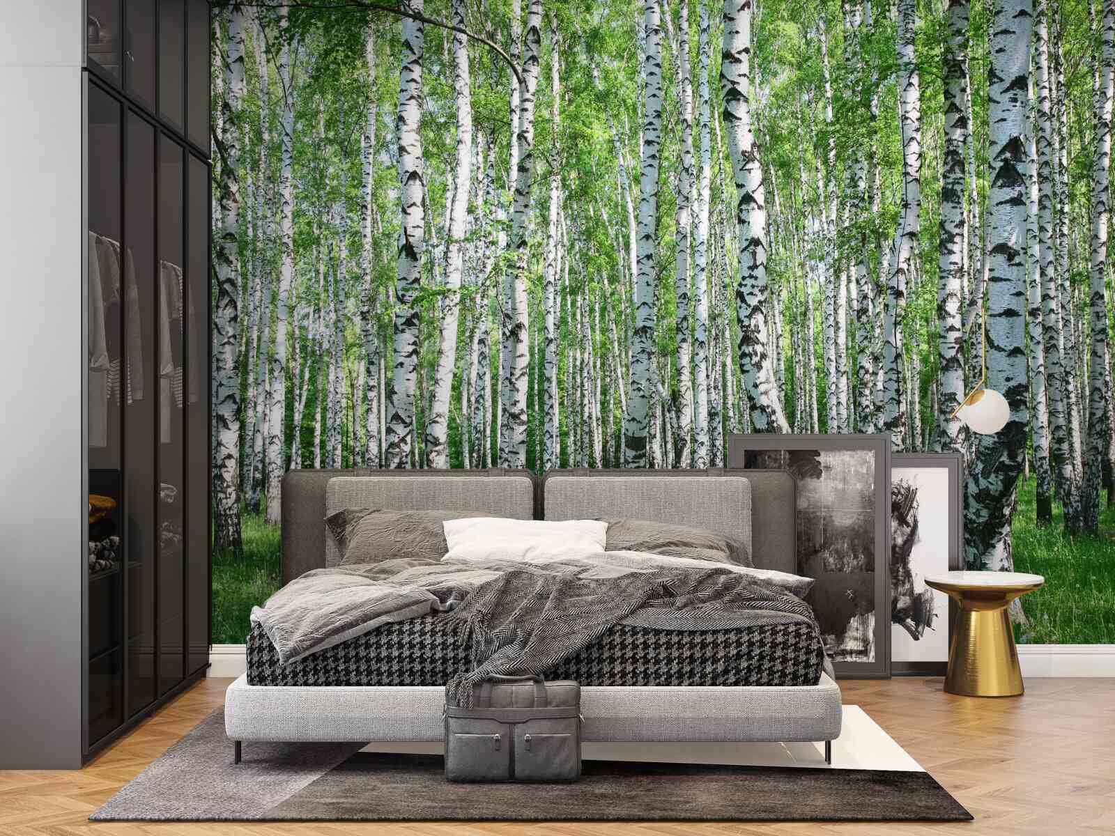 Фотошпалери у лісі багато беріз