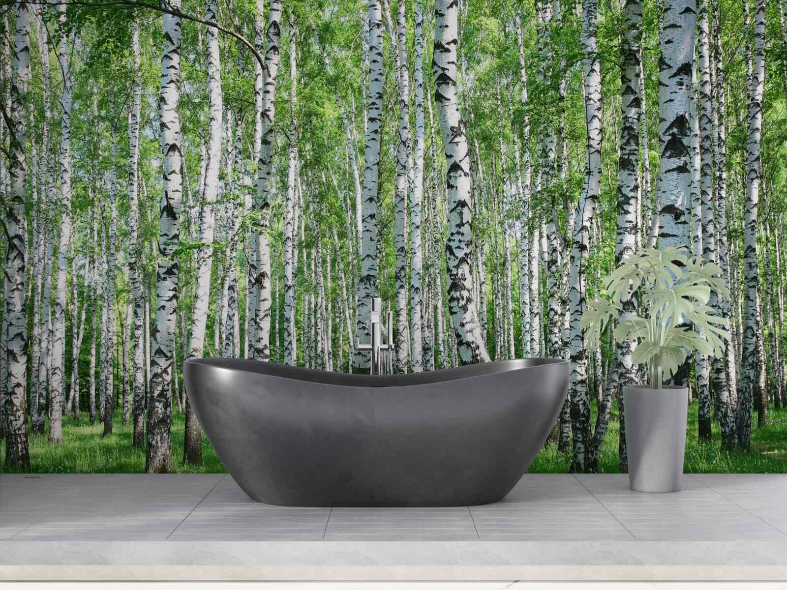 Фотошпалери у лісі багато беріз