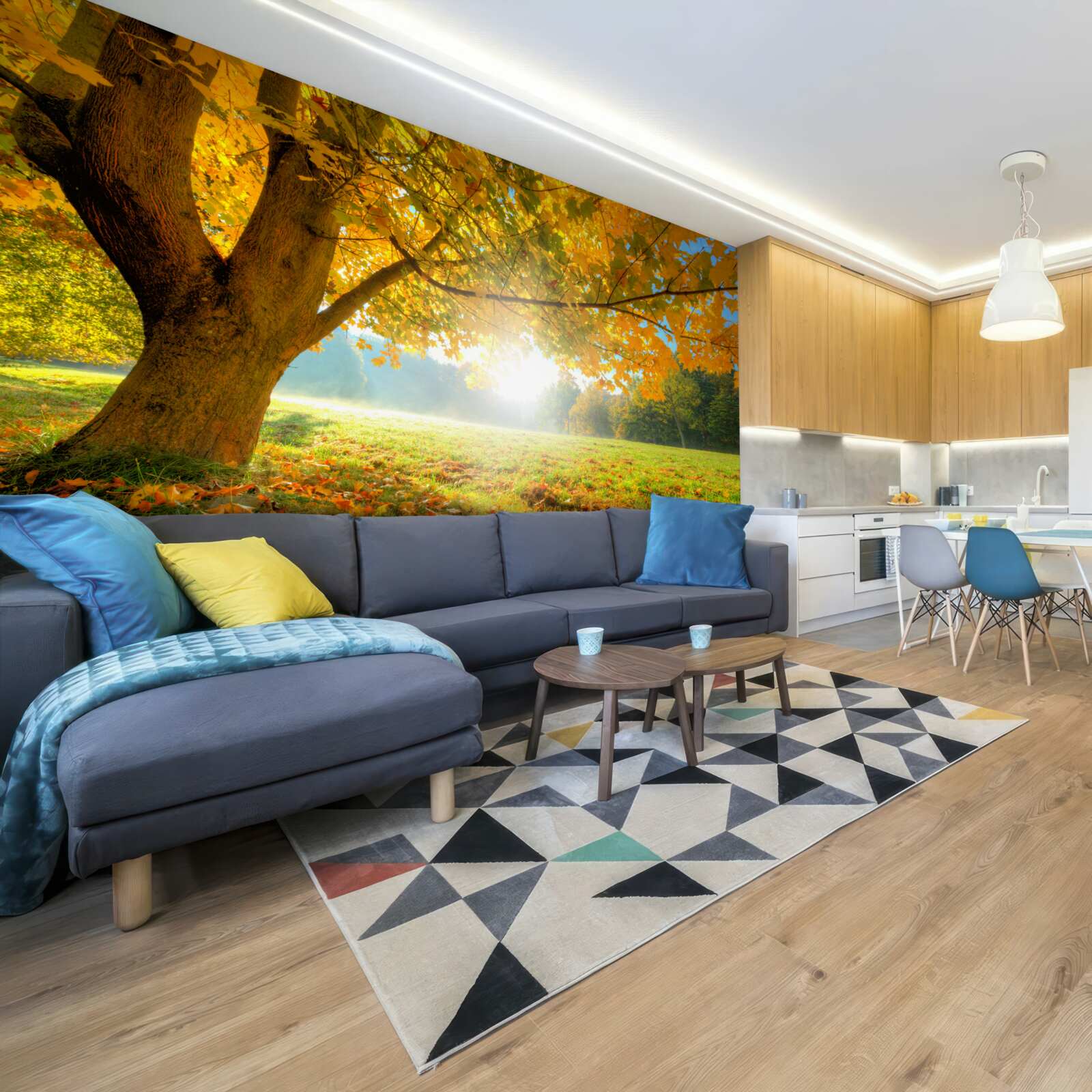 Фотошпалери осінній ліс, освітлений сонцем