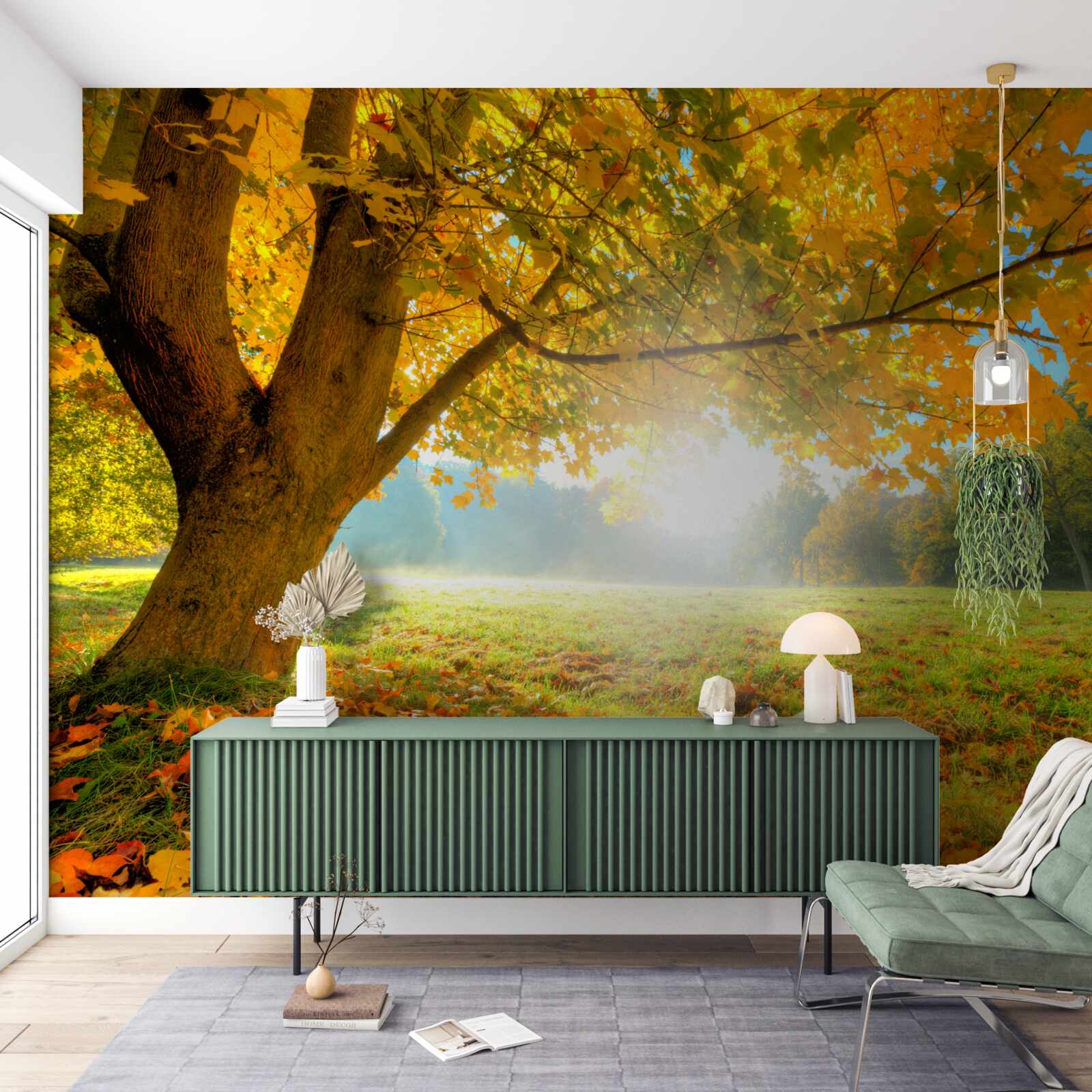 Фотошпалери осінній ліс, освітлений сонцем